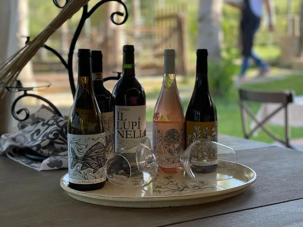 Gatto Bianco Tizzauli