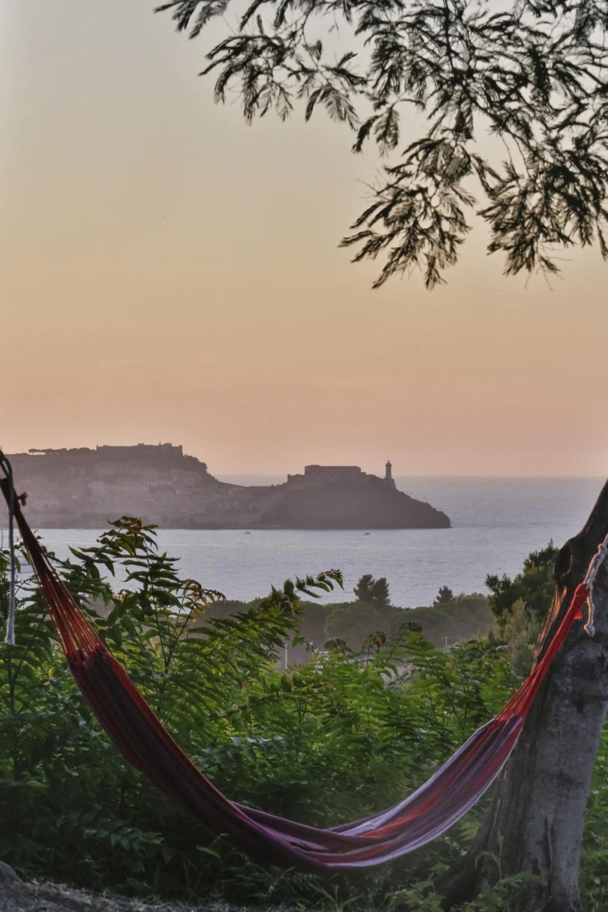 Garden in Hotel Santo Stefano