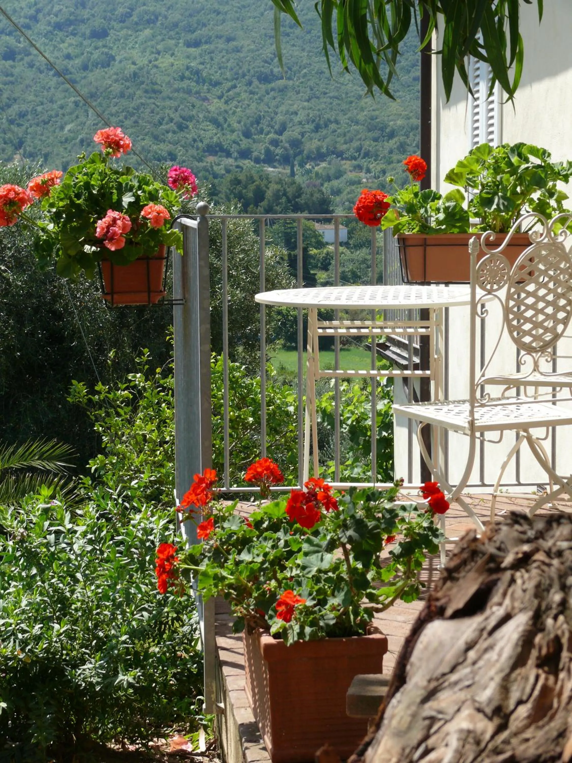 Balcony/Terrace in Hotel Santo Stefano