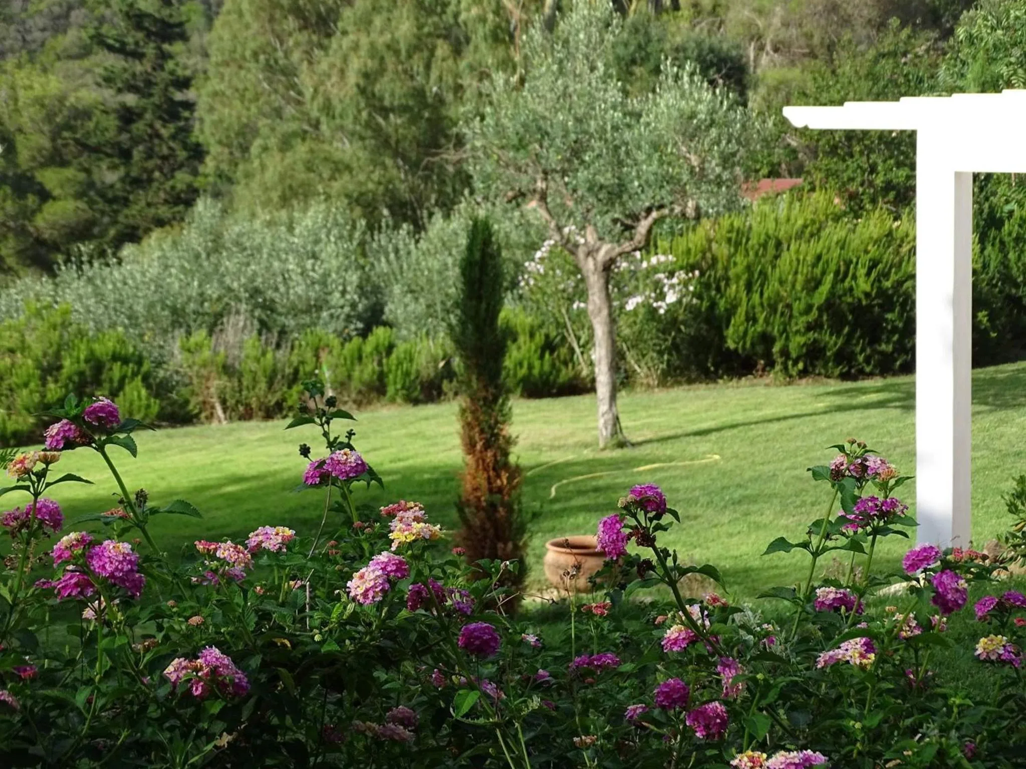 Garden in Hotel Santo Stefano
