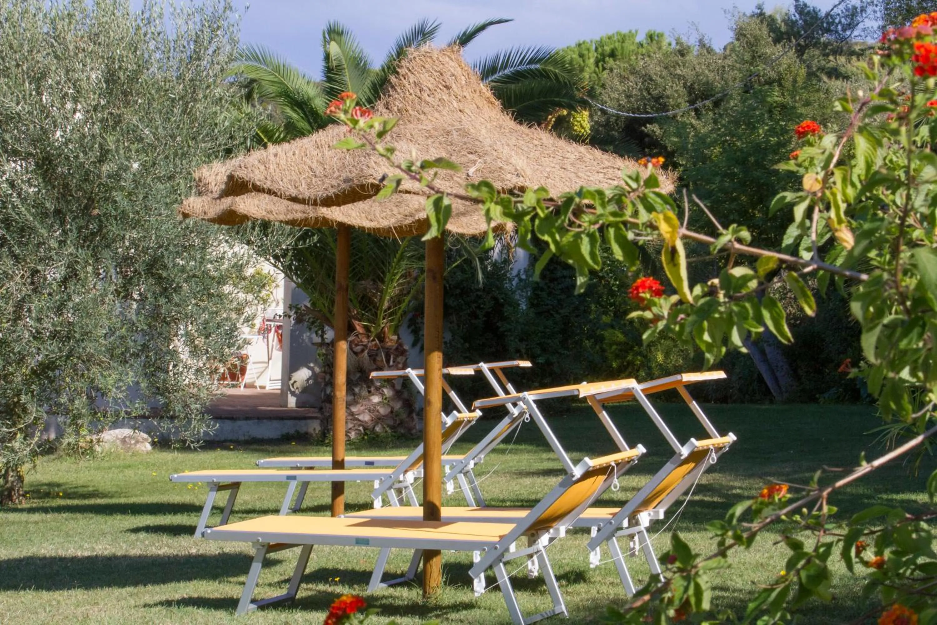 Garden in Hotel Santo Stefano
