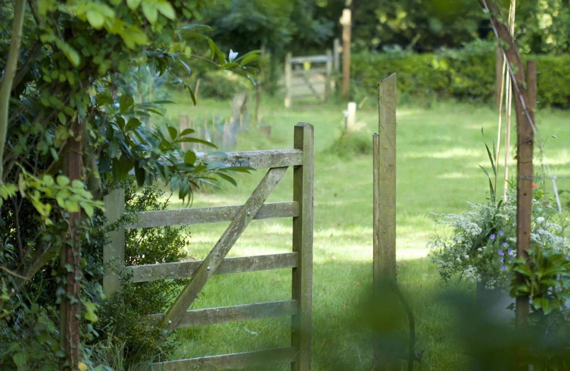 Garden in The Manor at Sway – Hotel, Restaurant and Gardens
