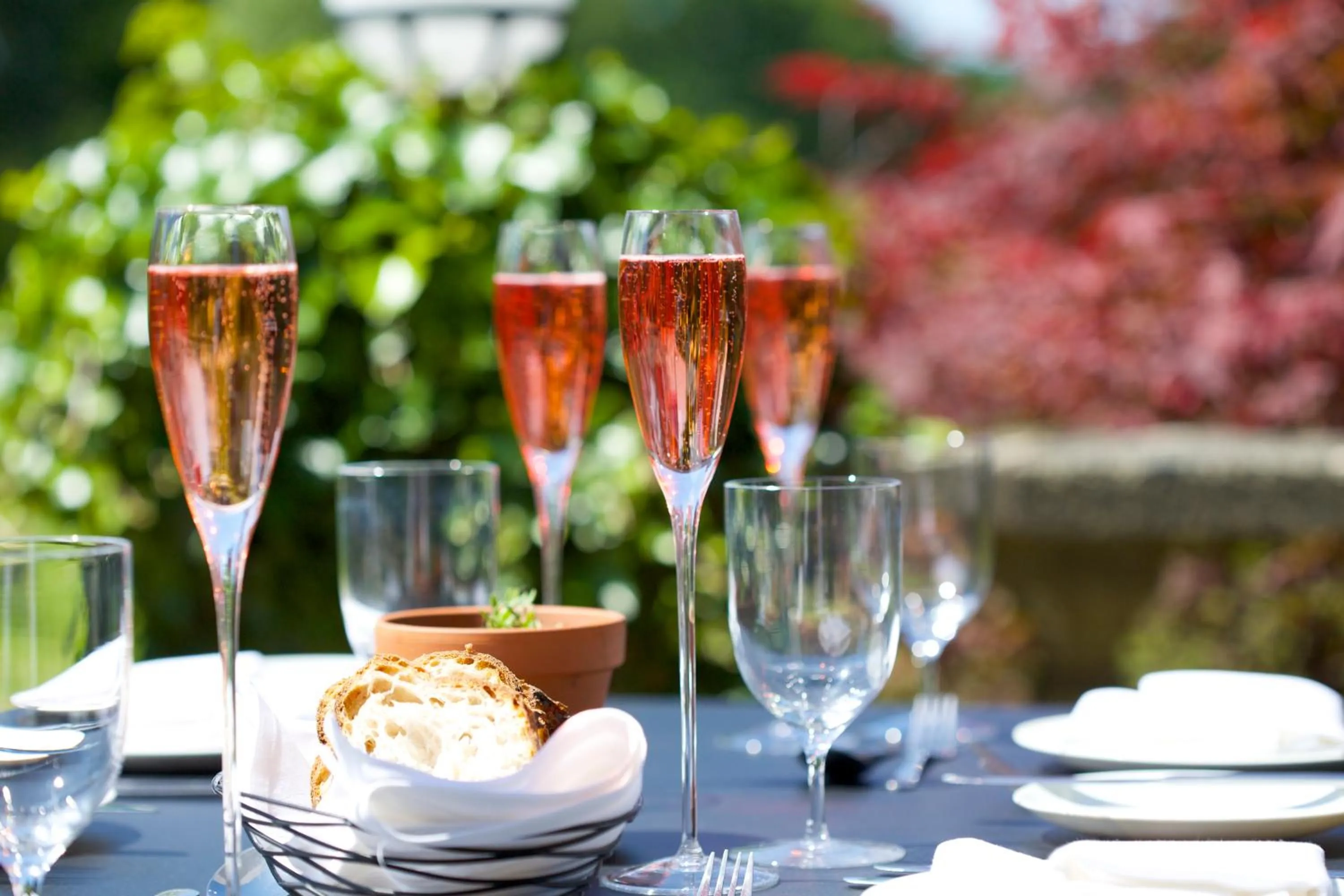 The Manor at Sway – Hotel, Restaurant and Gardens