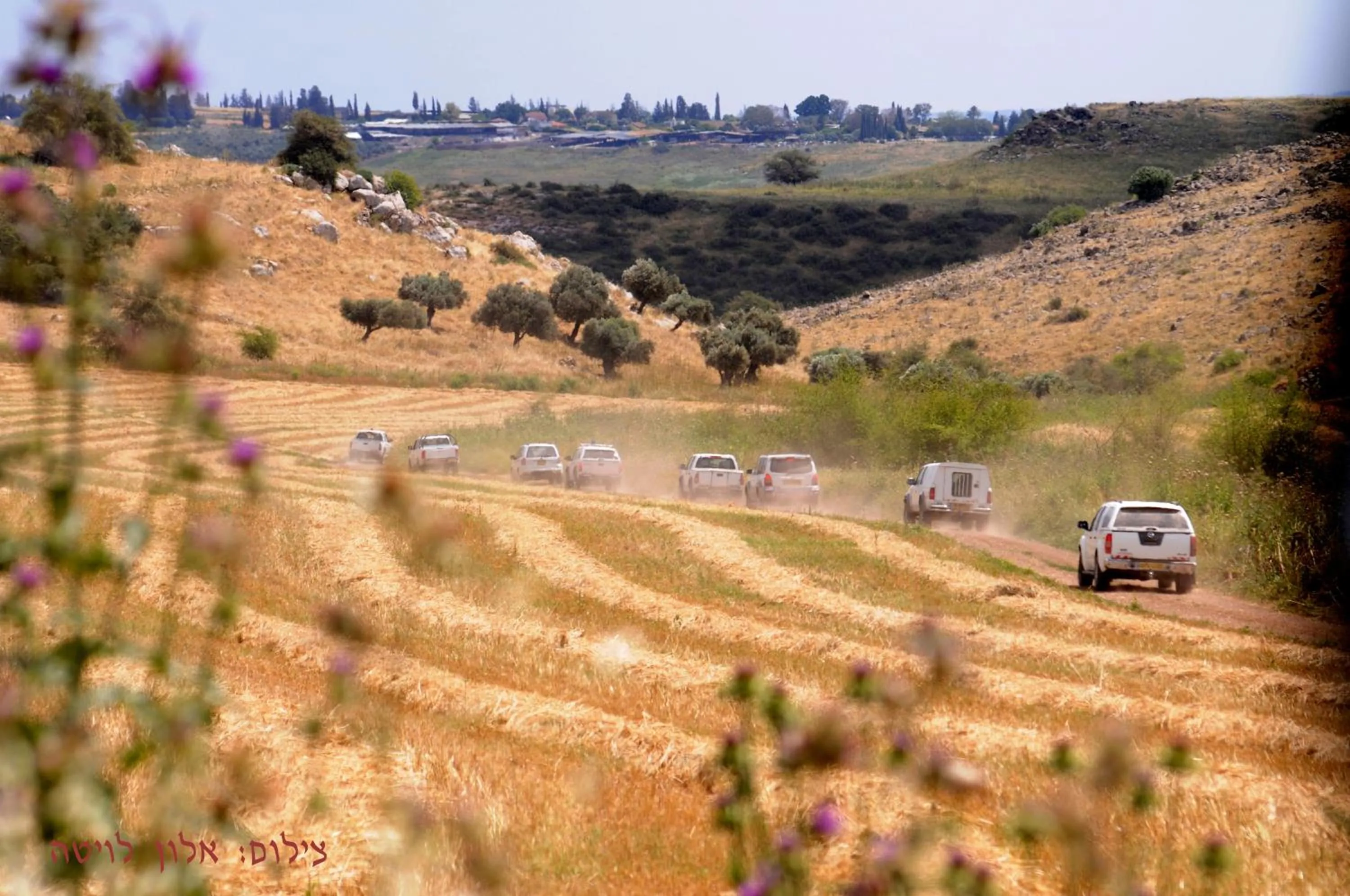 Area and facilities in Arbel Guest House Shavit Family
