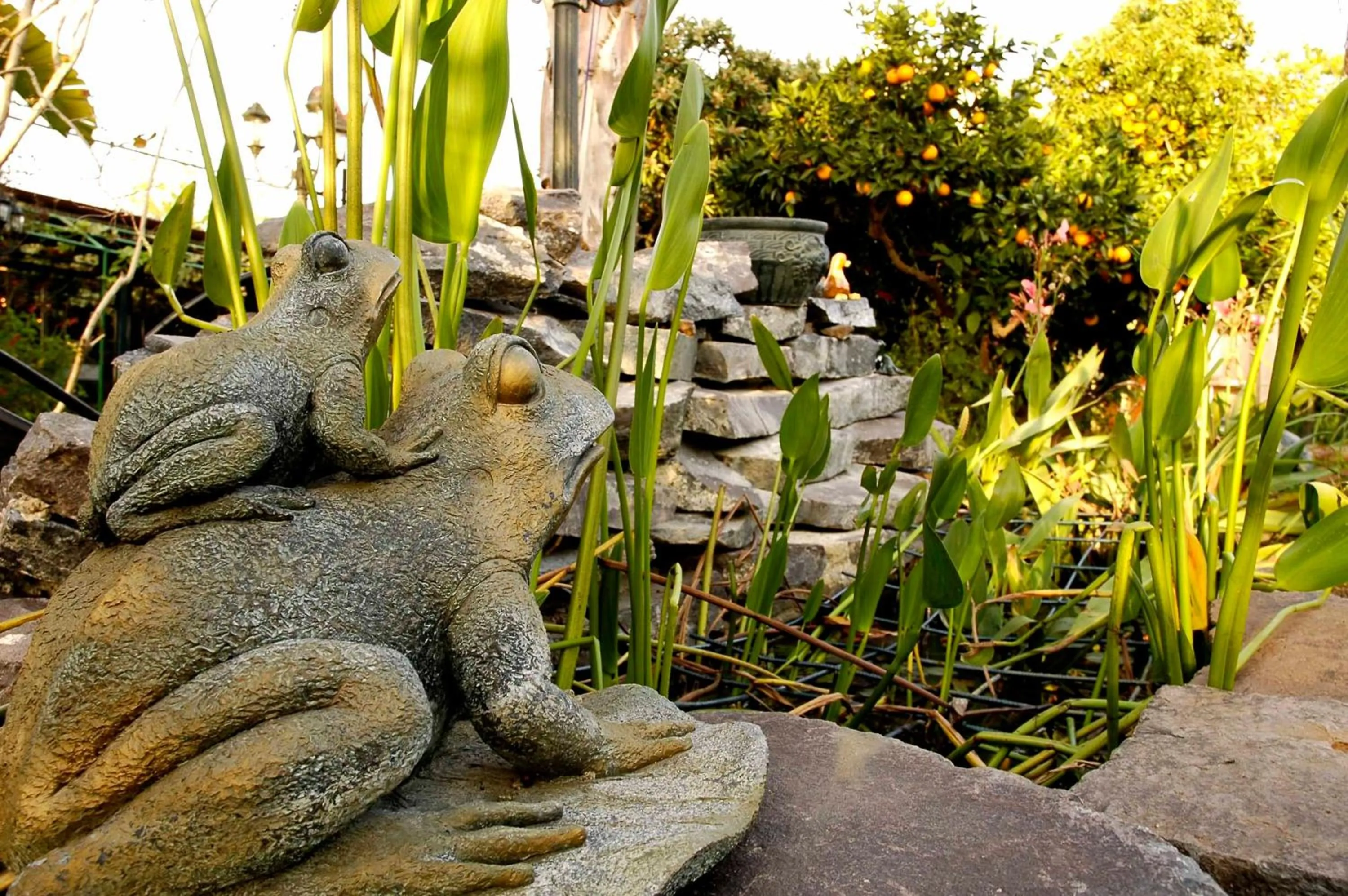 Garden in Arbel Guest House Shavit Family