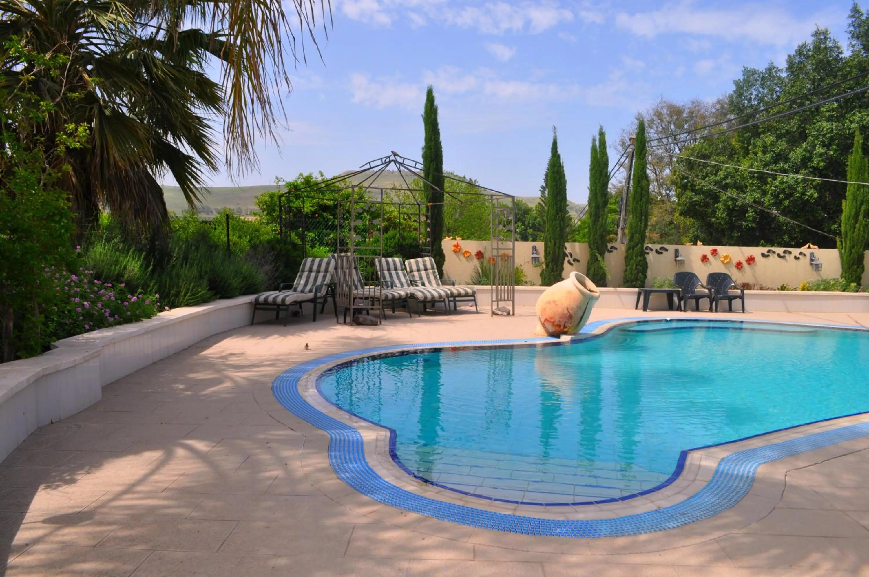 Swimming pool in Arbel Guest House Shavit Family