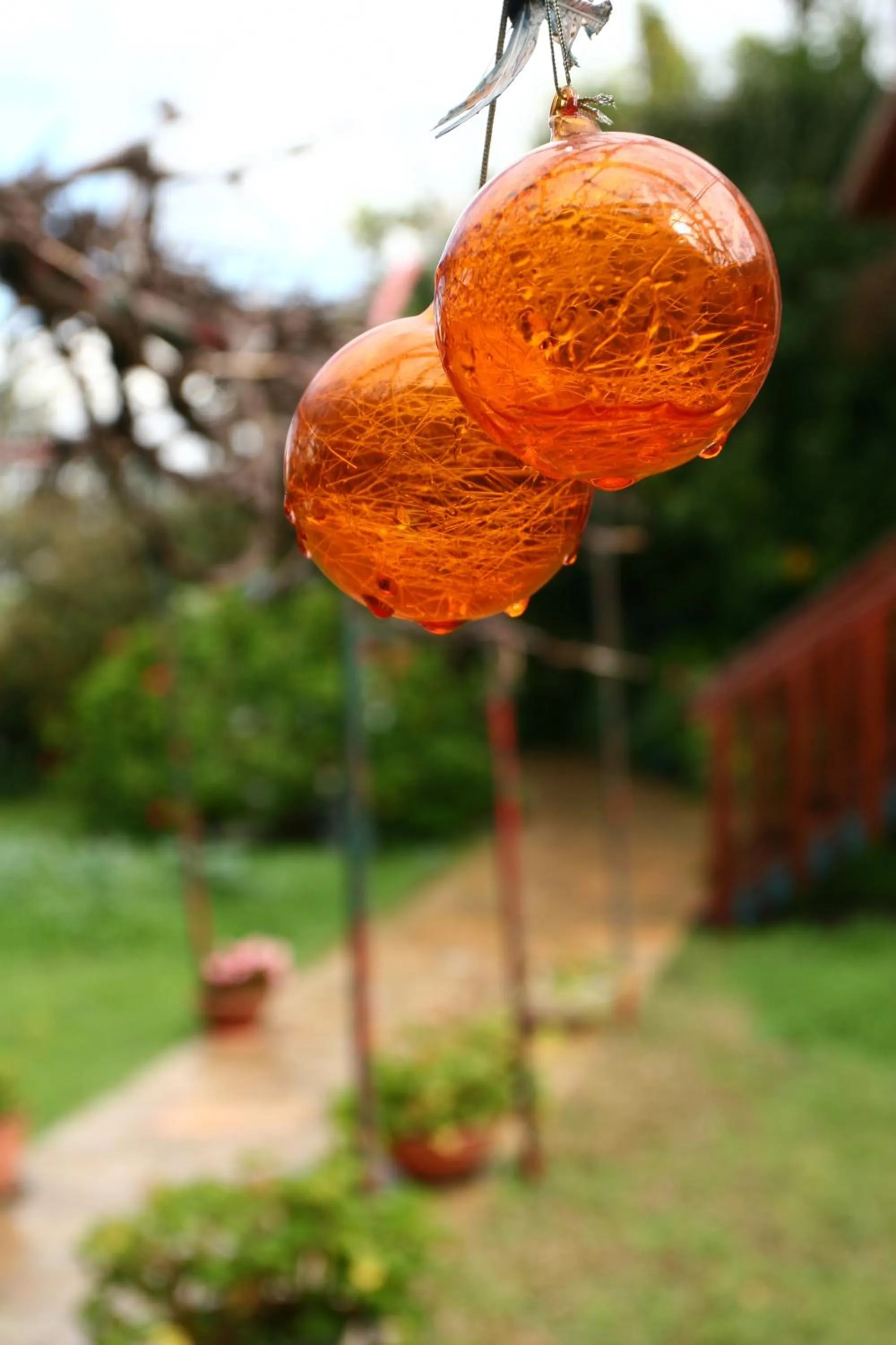 Other in Arbel Guest House Shavit Family