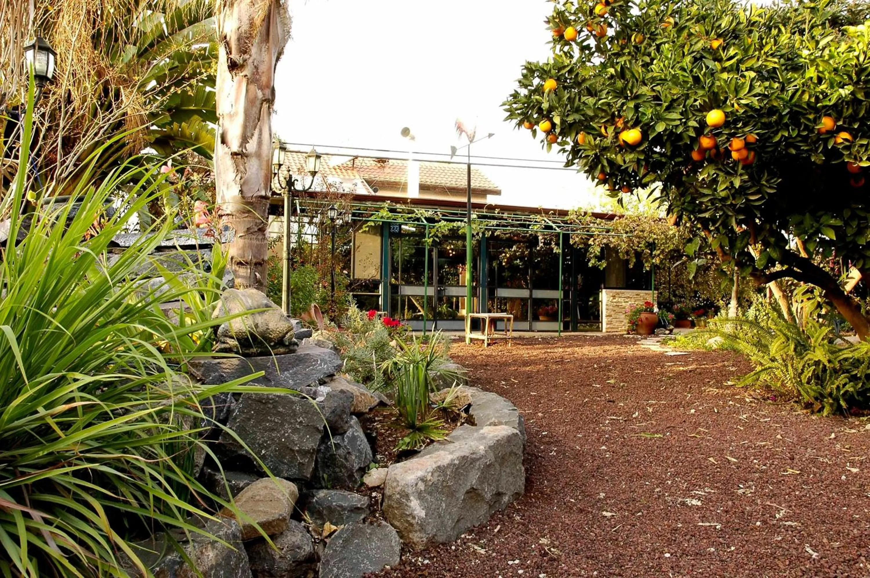 Garden in Arbel Guest House Shavit Family
