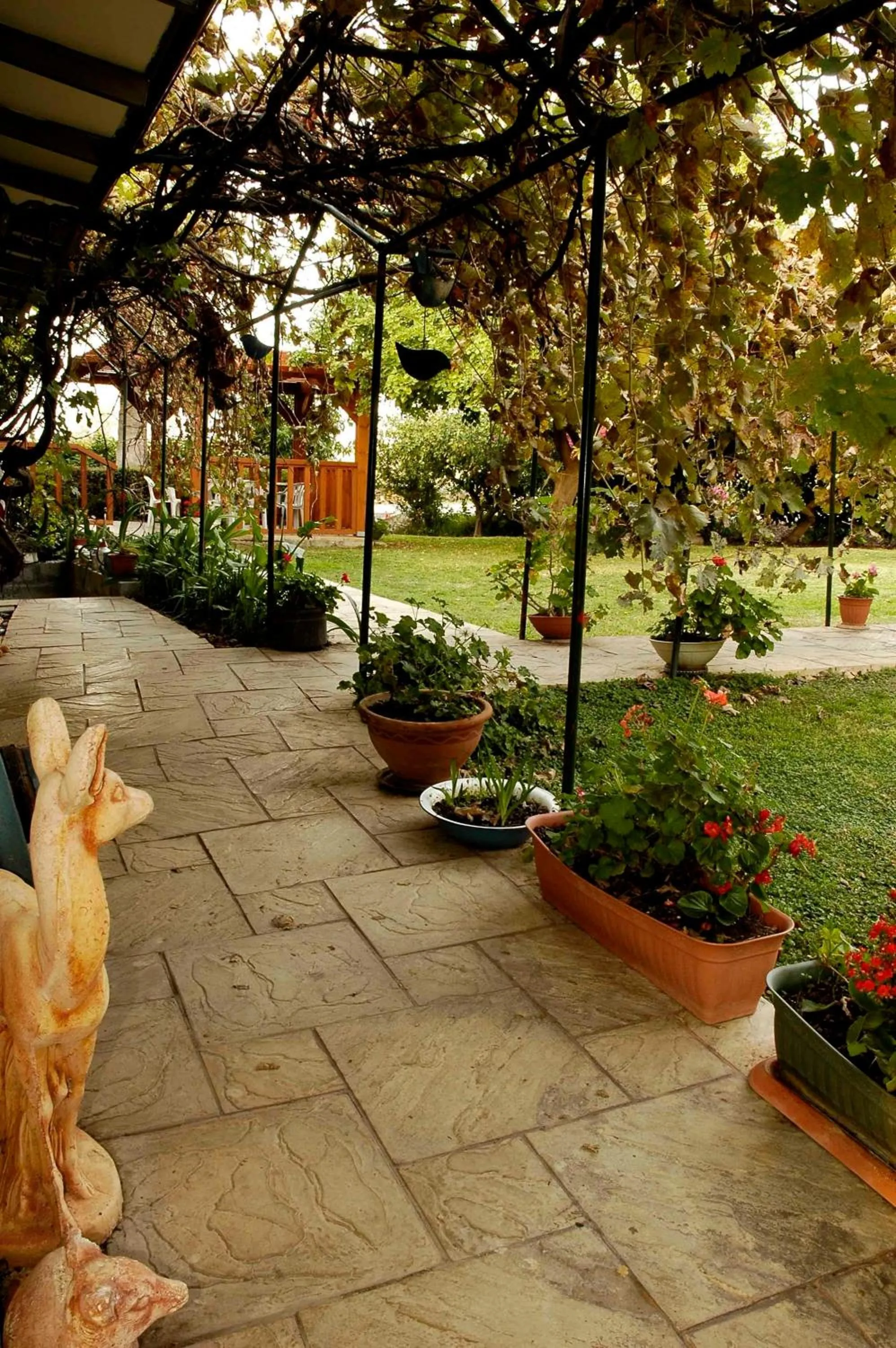 Garden in Arbel Guest House Shavit Family