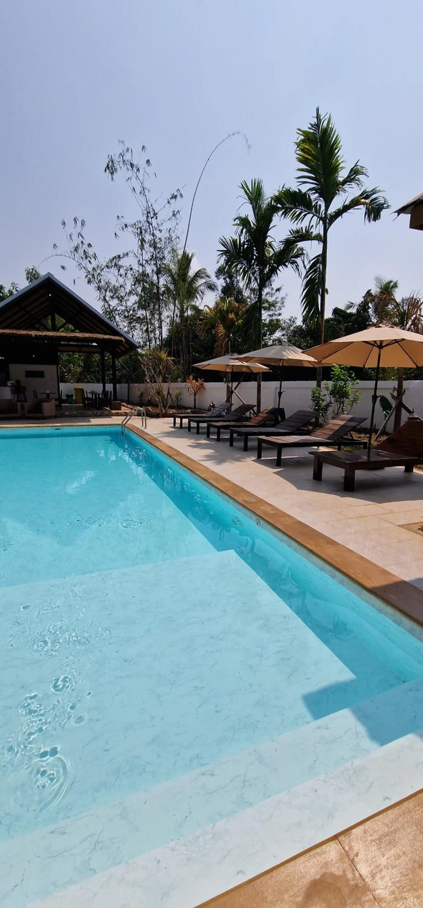 Day in Kingfisher House