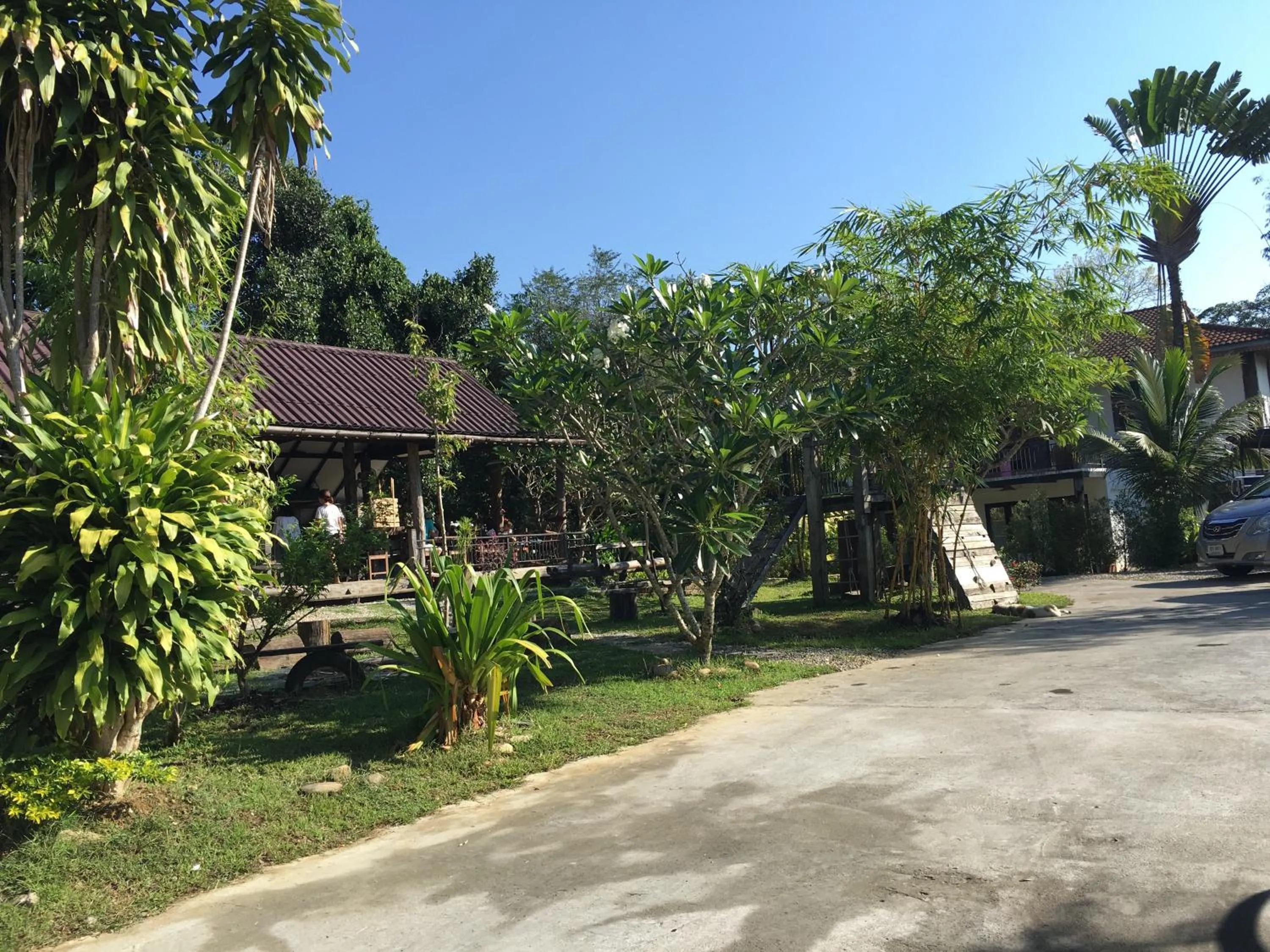 Garden in Kingfisher House