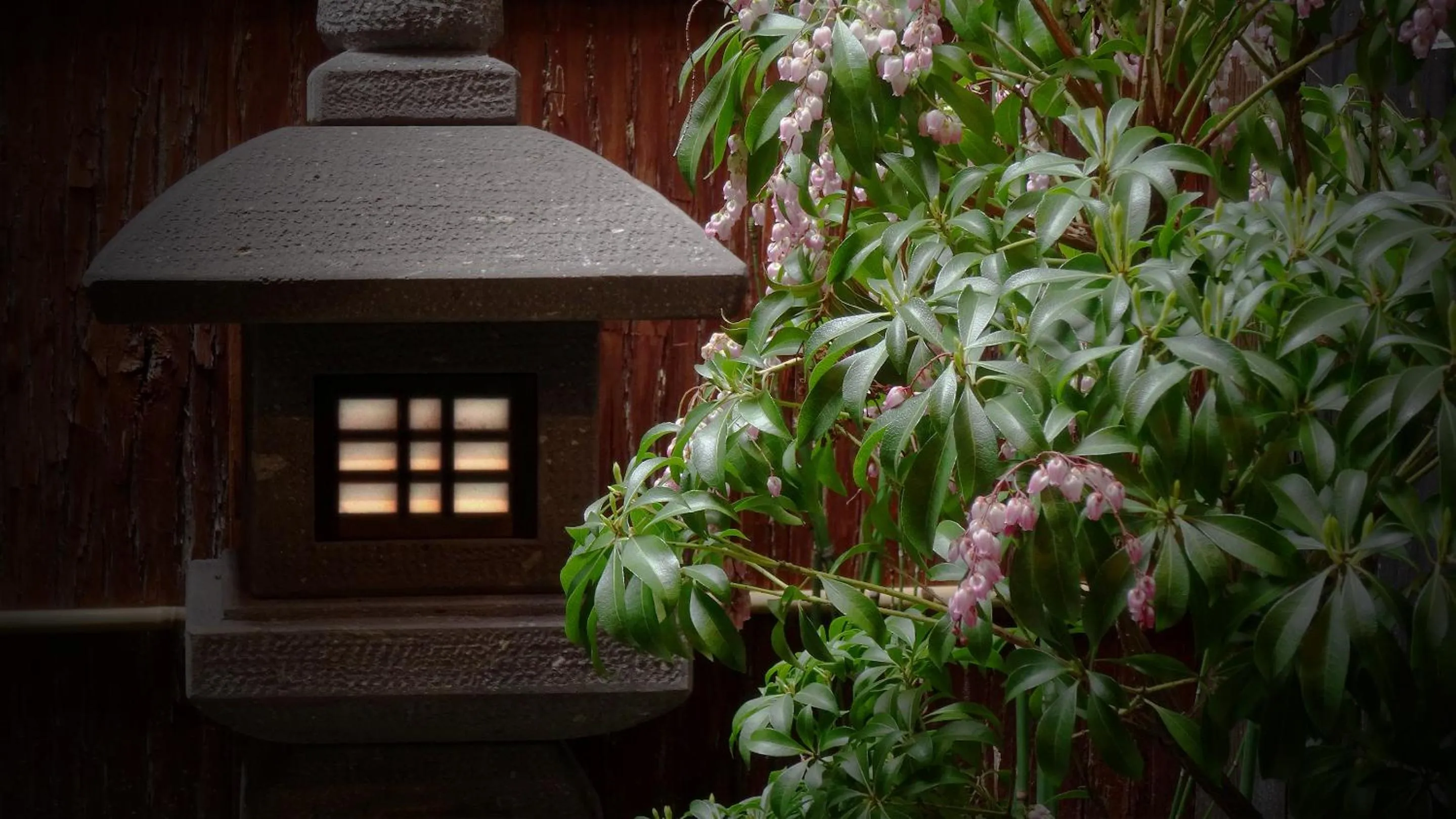 Garden in Machiya Kaemon