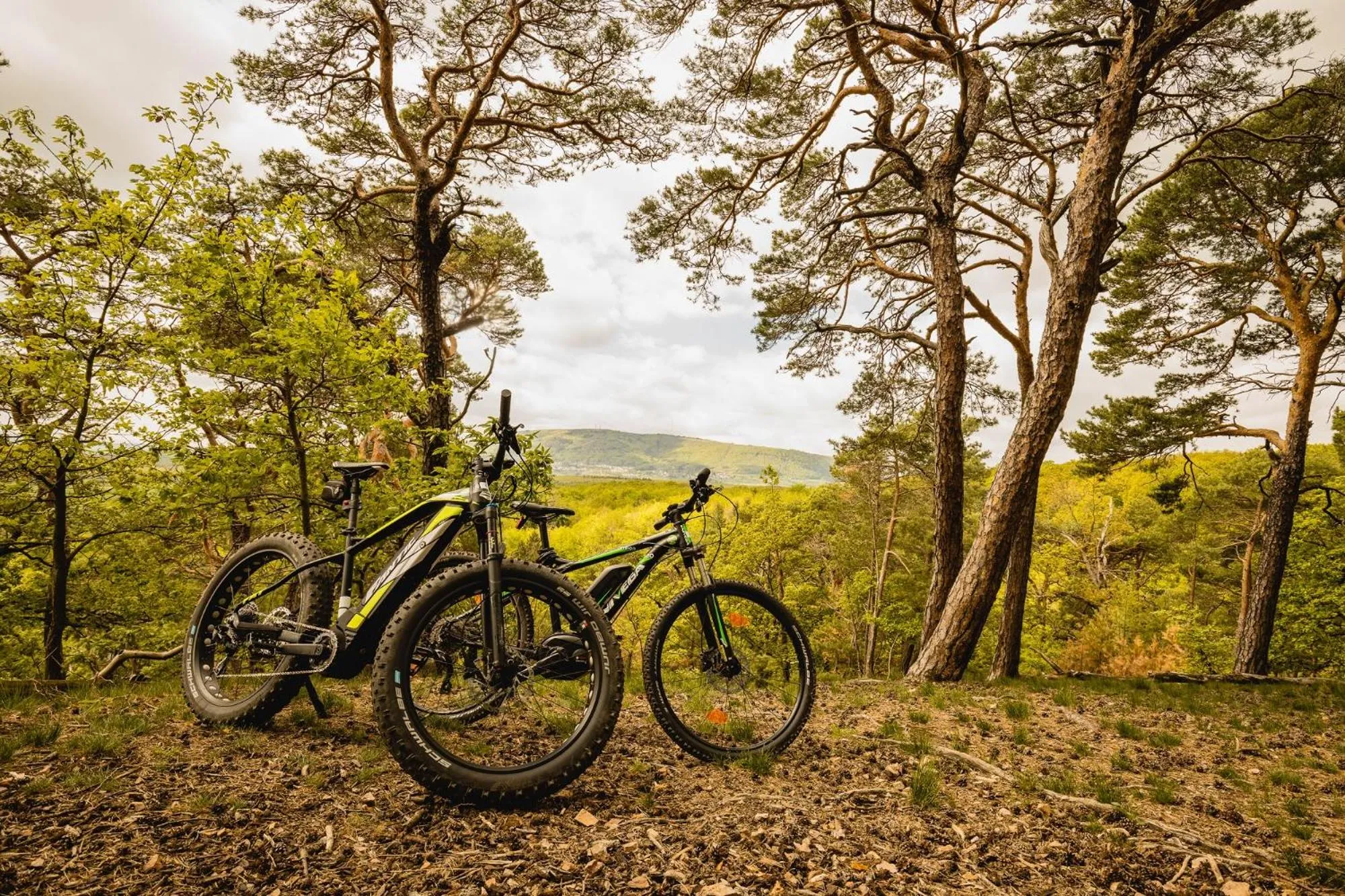 Activities in Hotel - Restaurant Bastenhaus