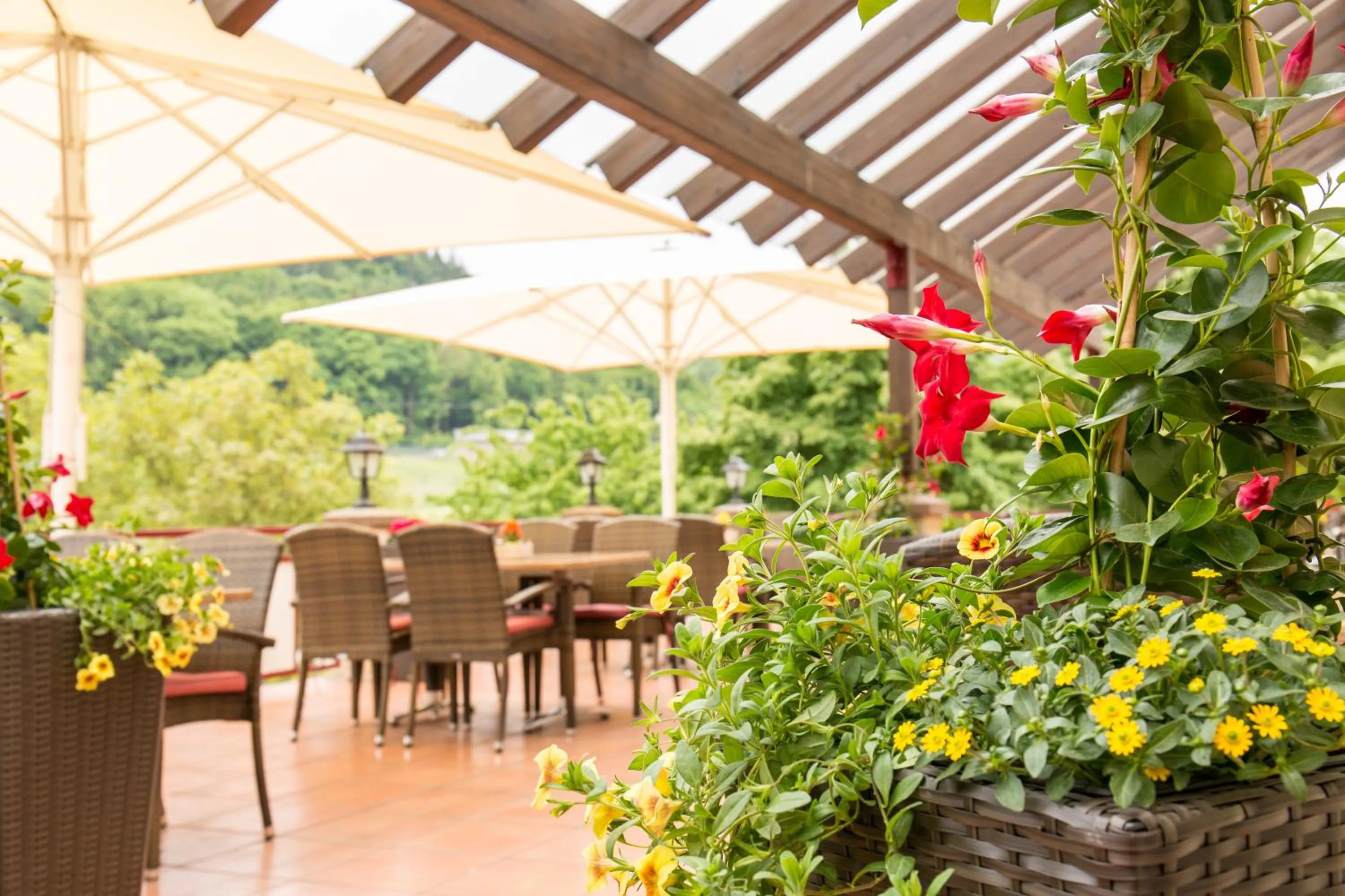 Restaurant/places to eat in Hotel - Restaurant Bastenhaus