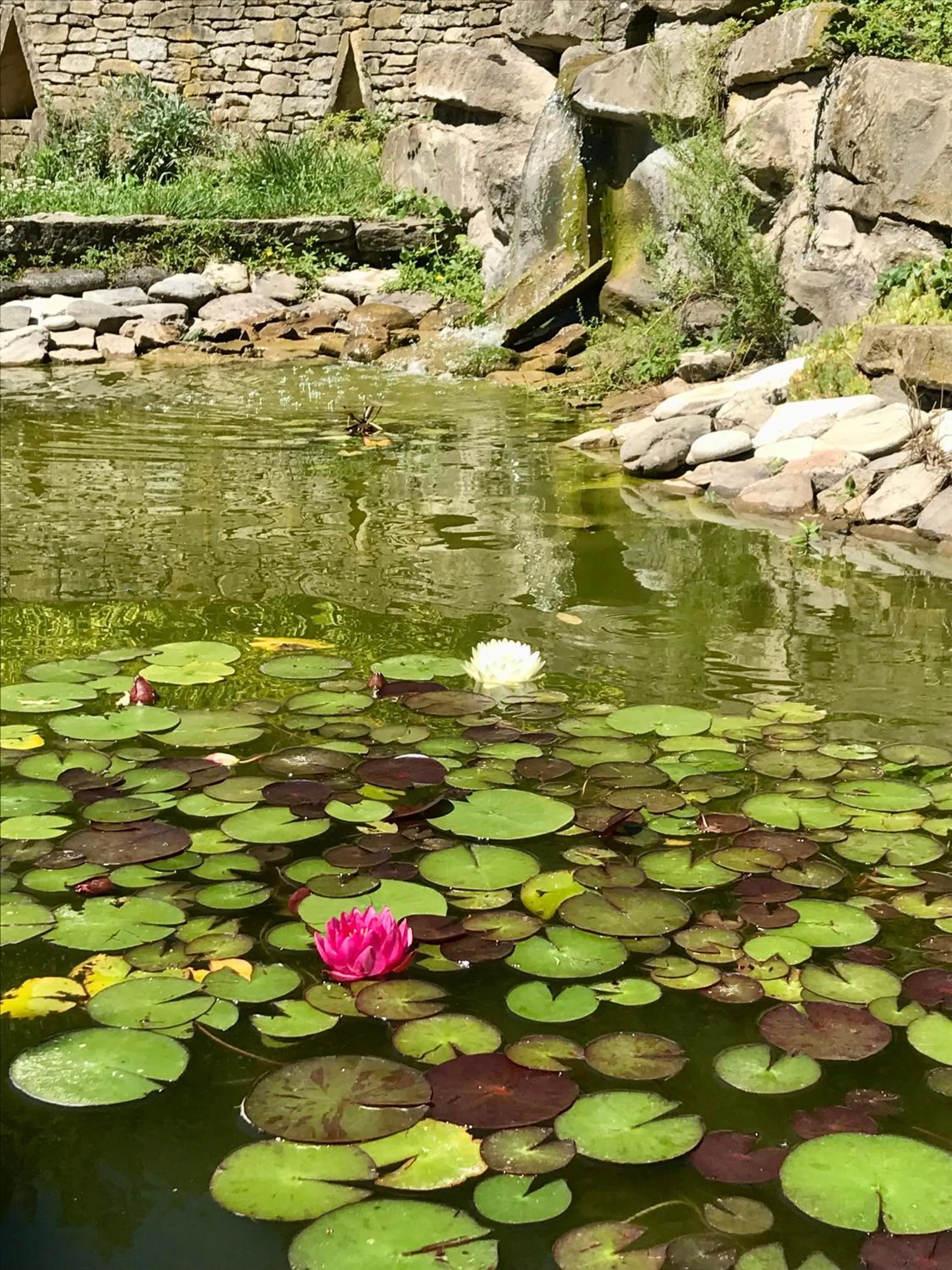 Garden in Marcarini Agriturismo