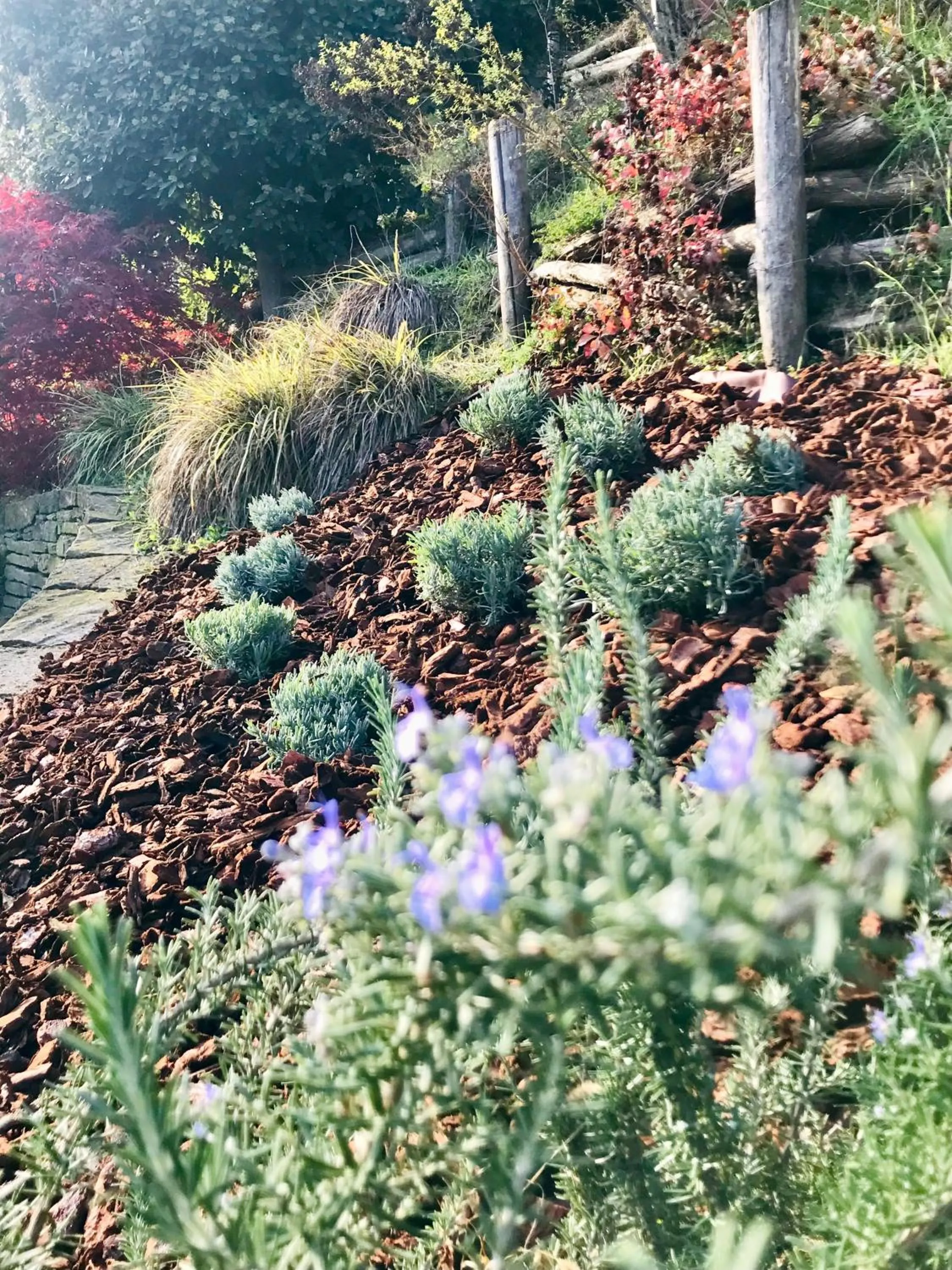 Garden in Marcarini Agriturismo