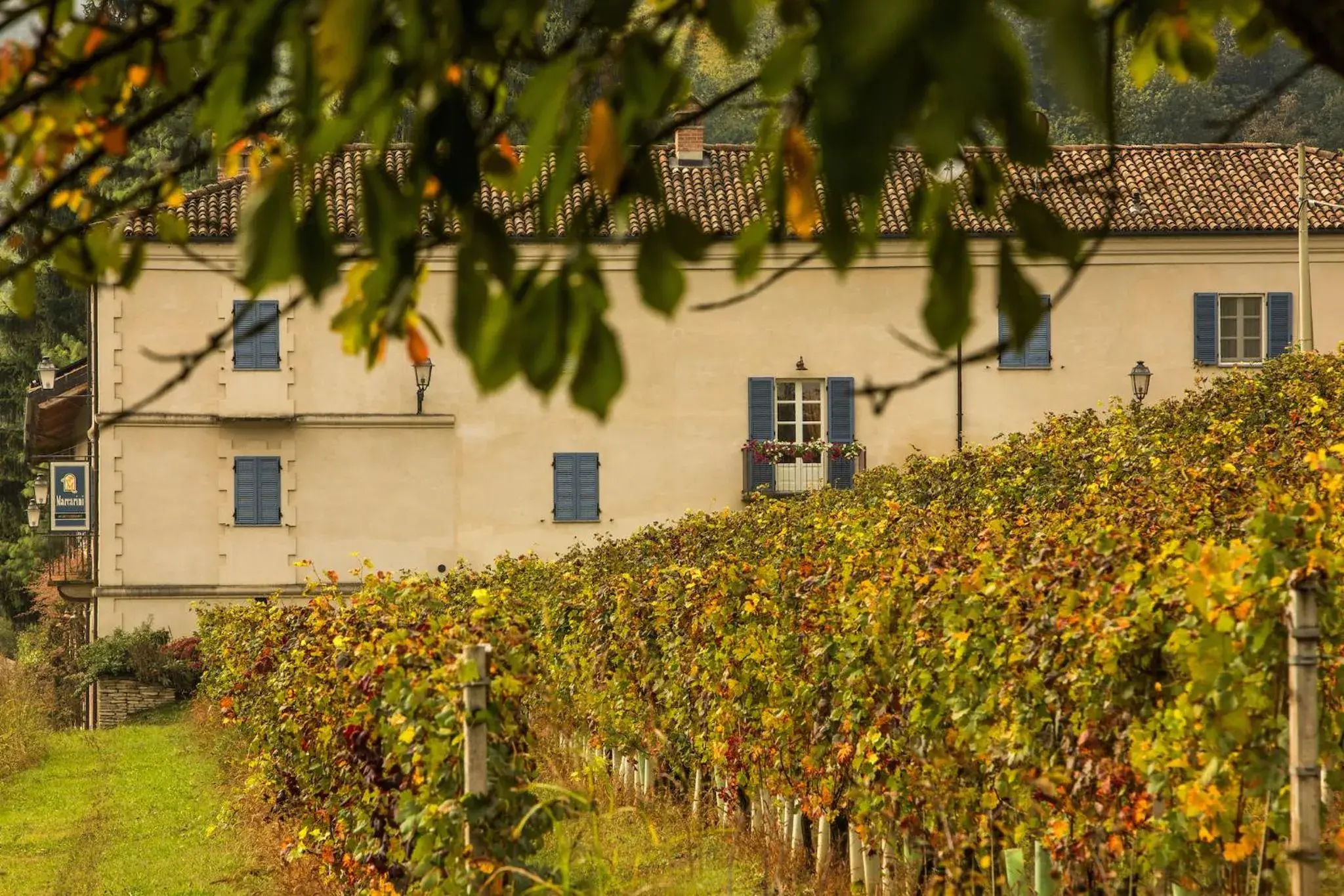 Property building in Marcarini Agriturismo Property building in Marcarini Agriturismo