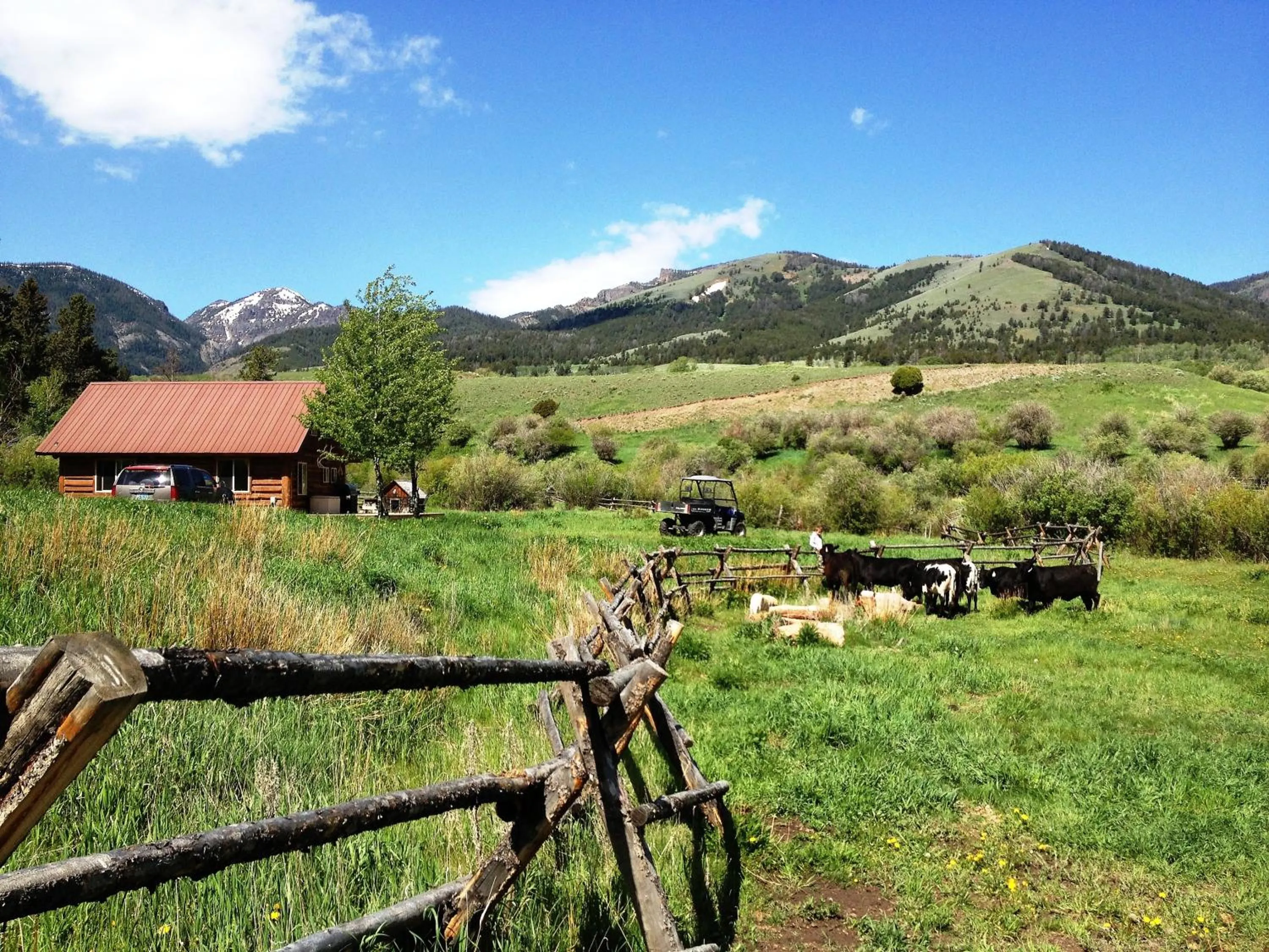 View (from property/room) in Grandpa's Cabin
