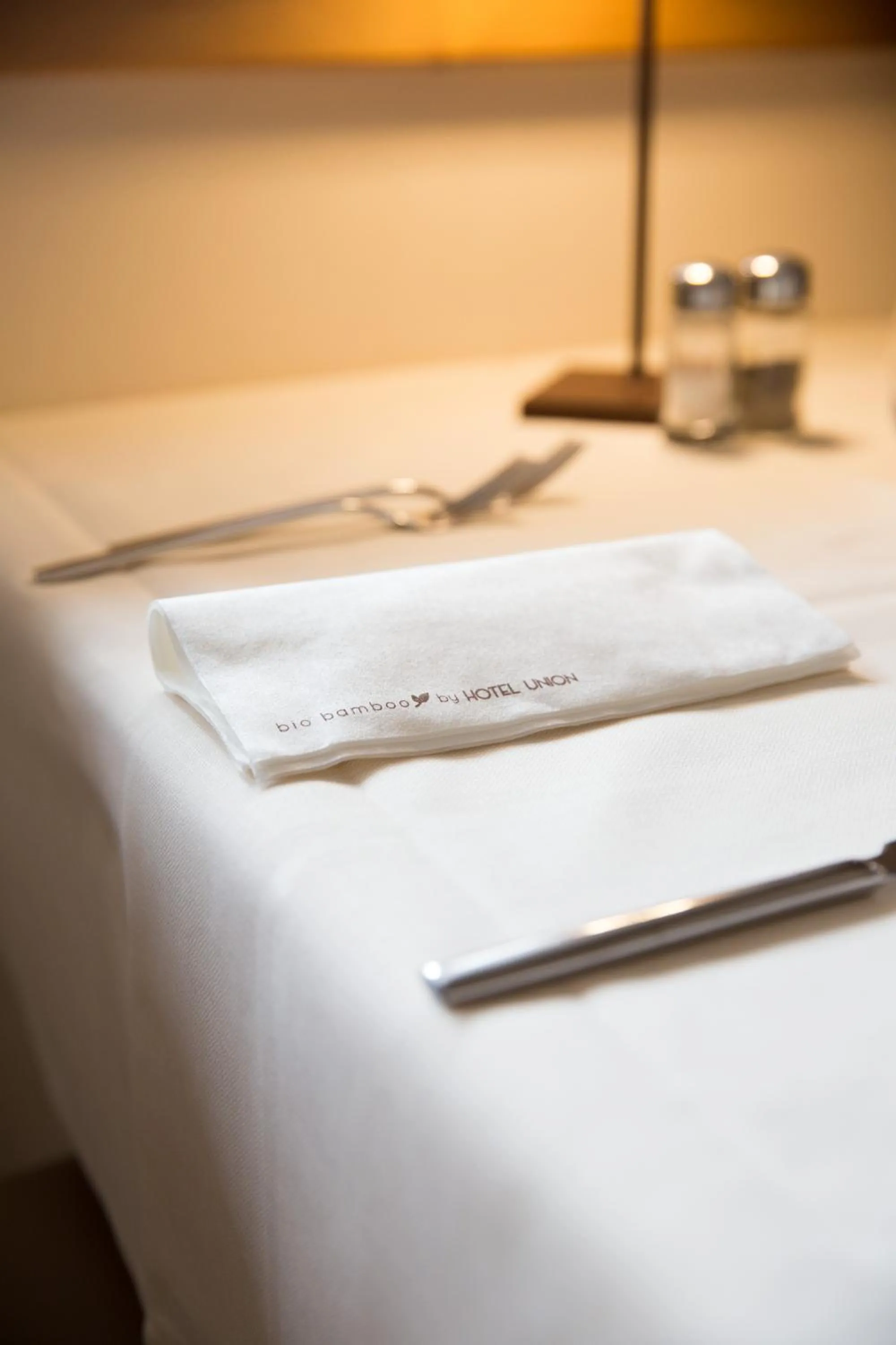 Dinner, Bed in Hotel Union