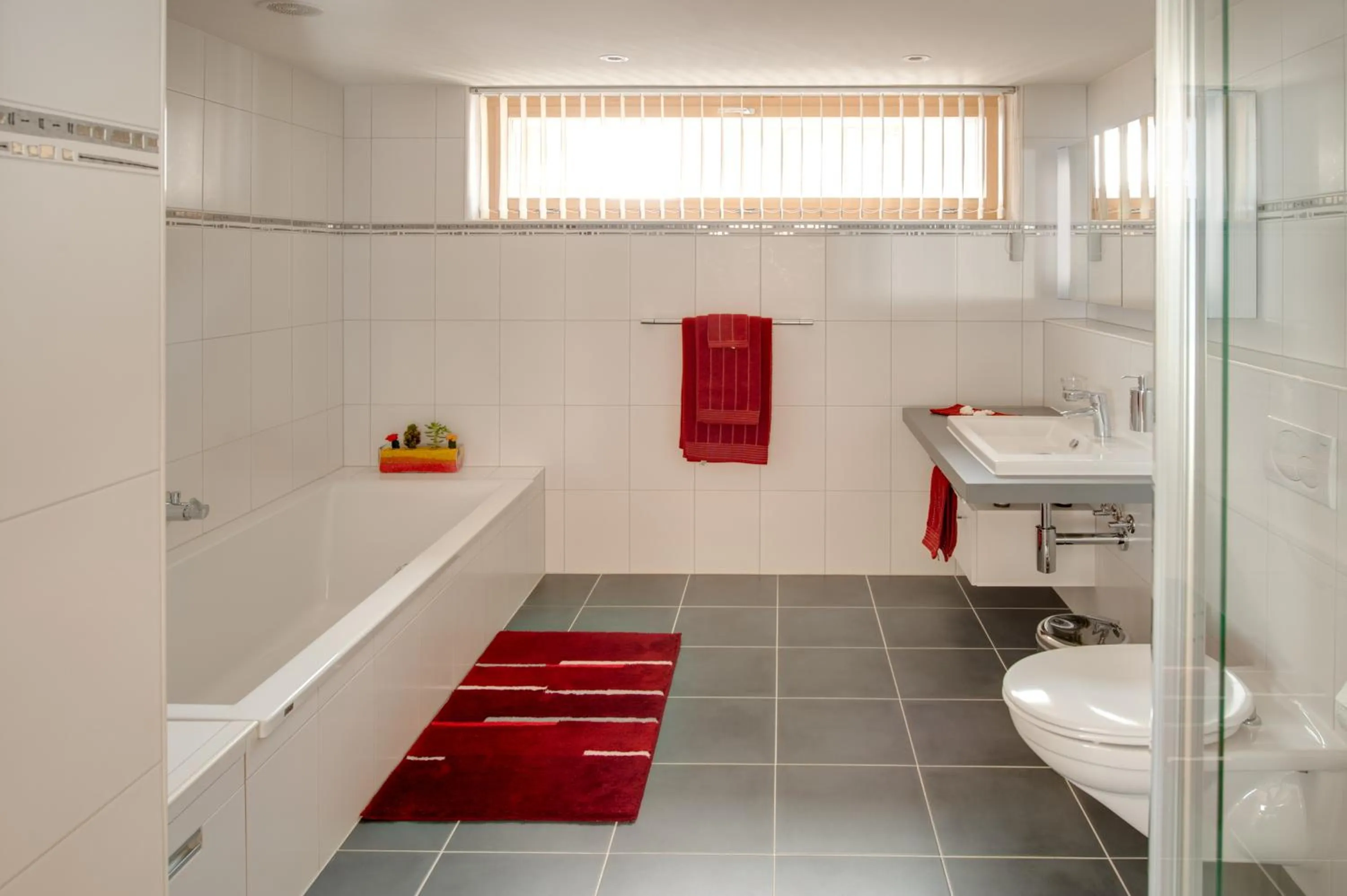 Bathroom in Apartment Meric Superior