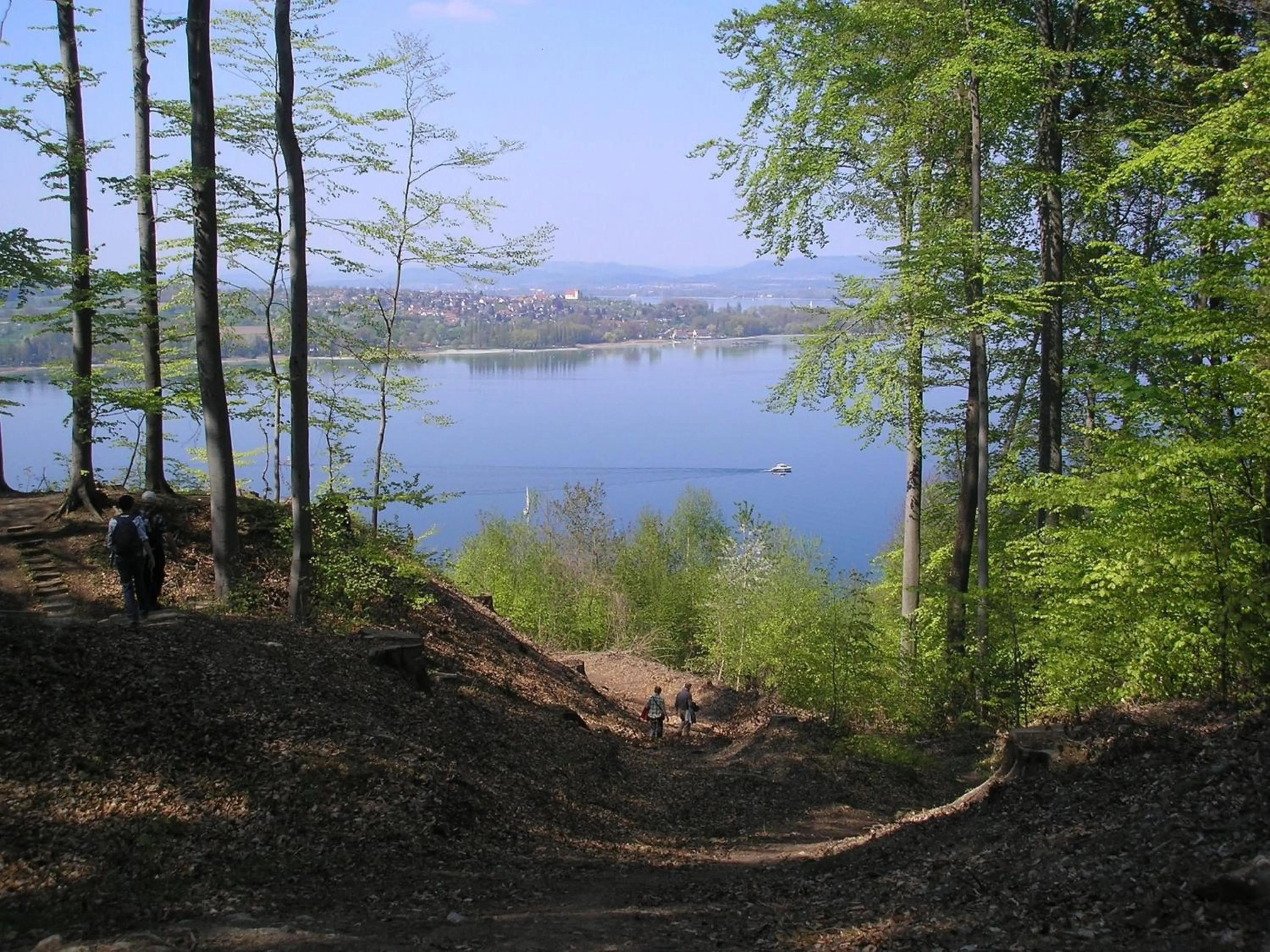 Natural landscape in Historisches Gasthaus Hotel Hirschen Horn