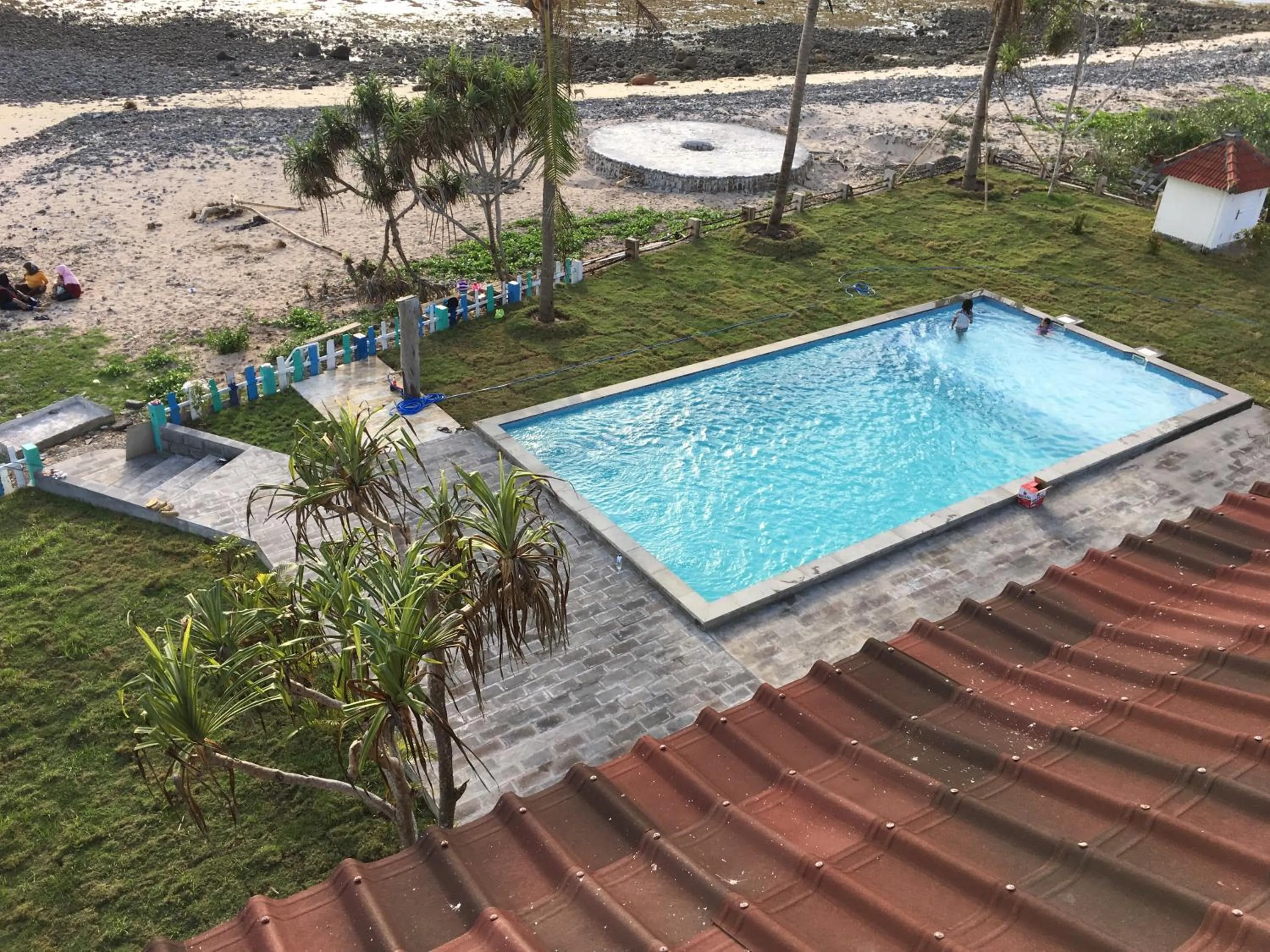 Pool view in The Tree House Sumbawa