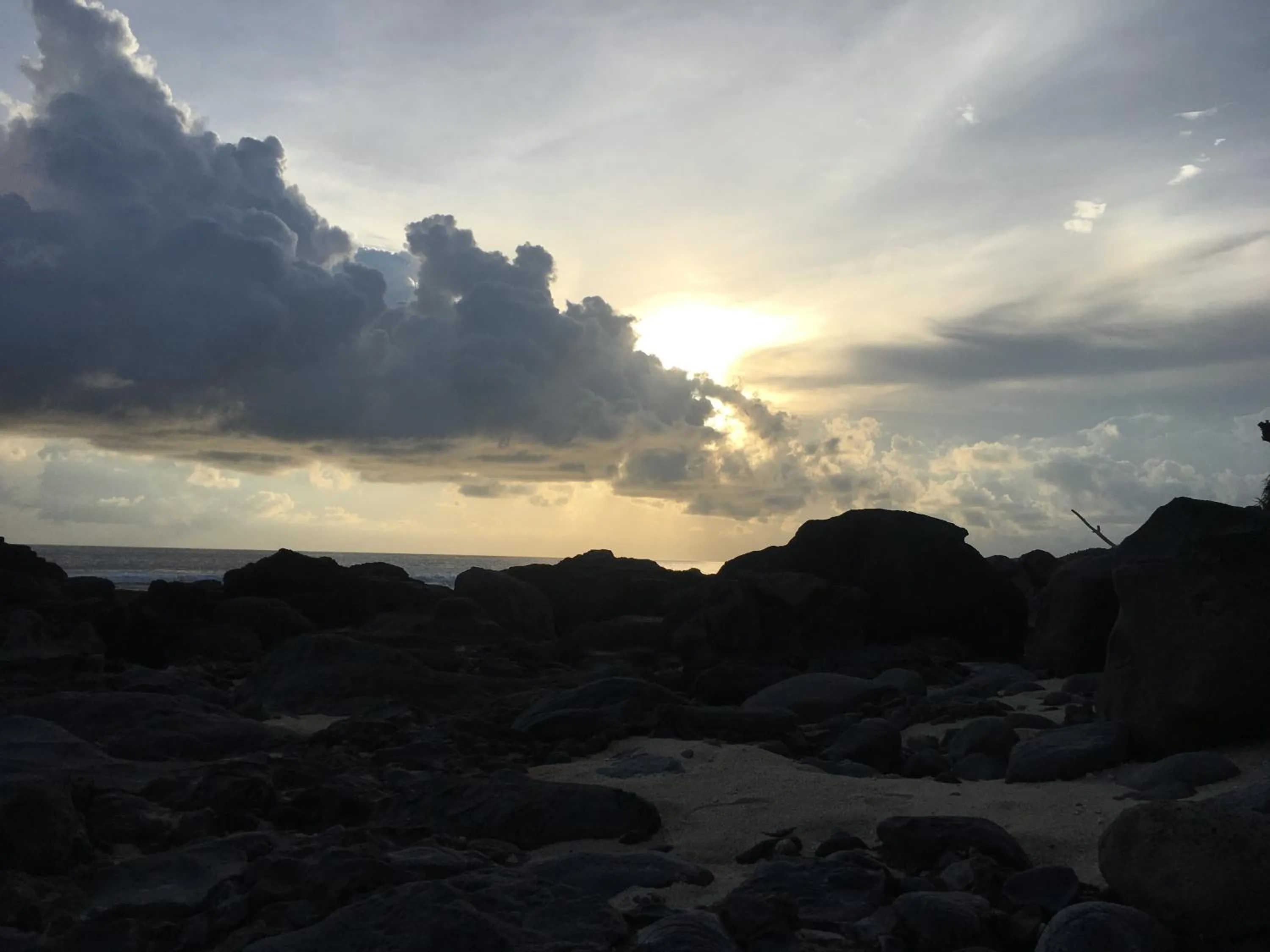 The Tree House Sumbawa