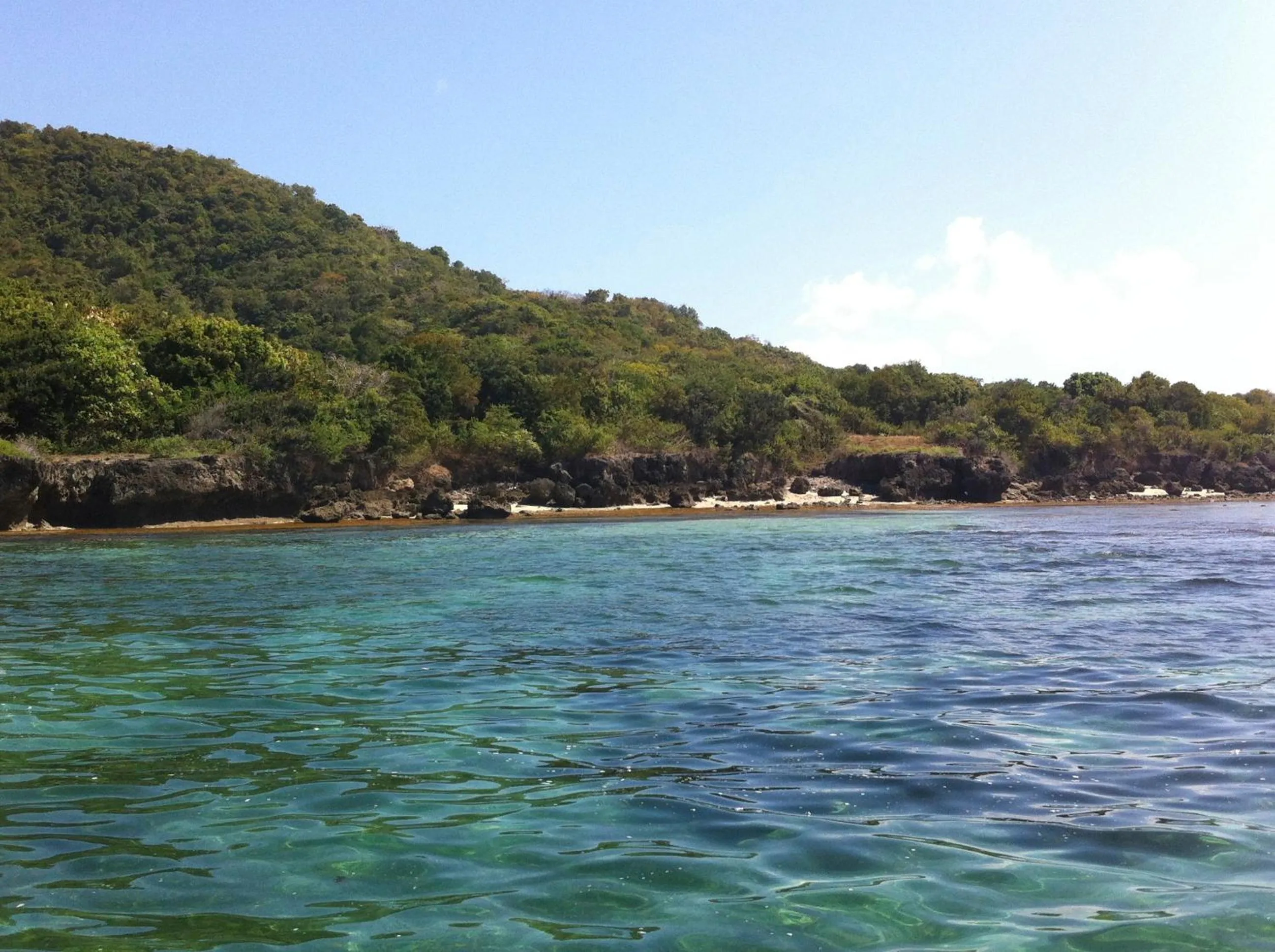 Property building in The Tree House Sumbawa