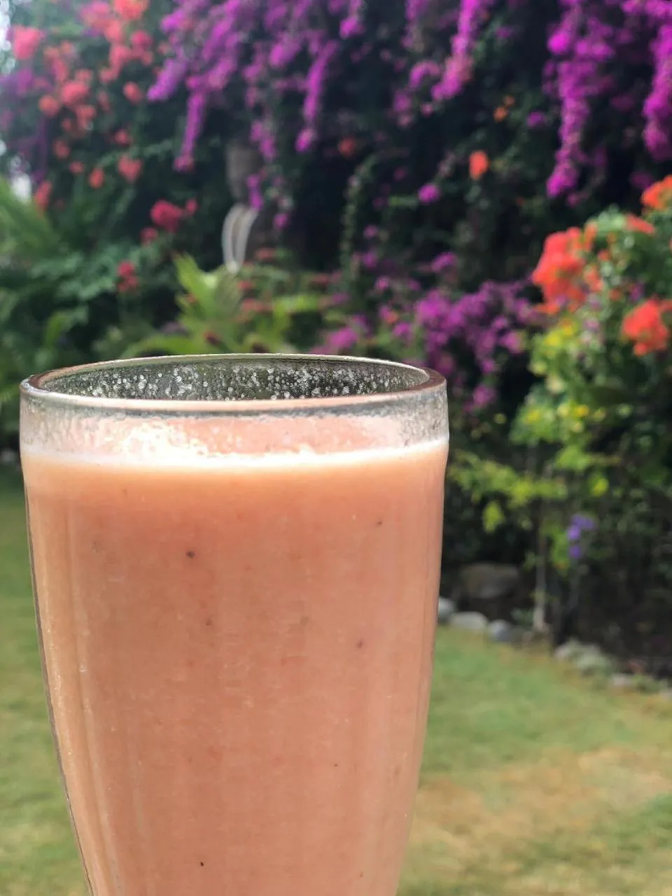 Breakfast in The Tree House Sumbawa