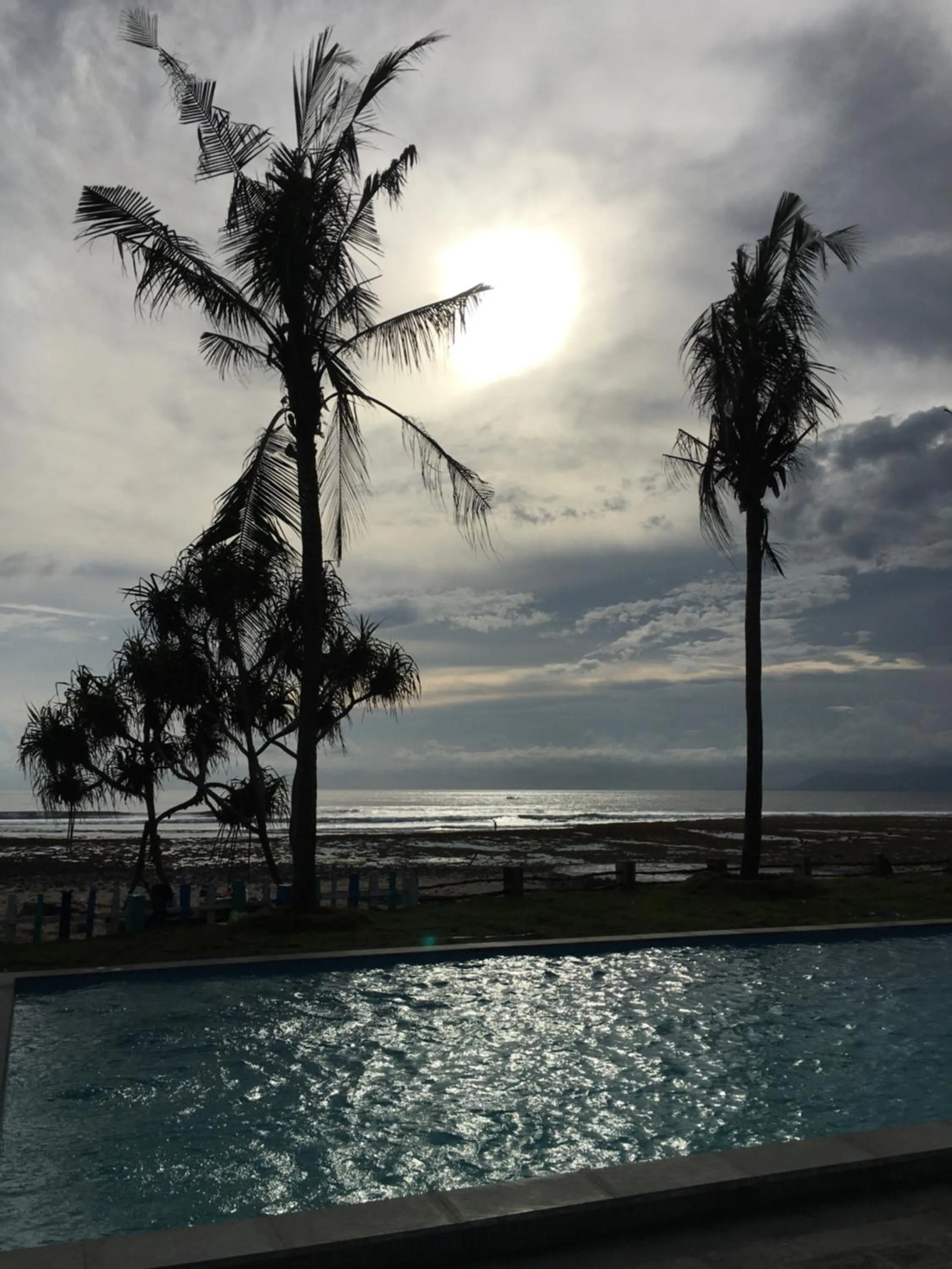 The Tree House Sumbawa