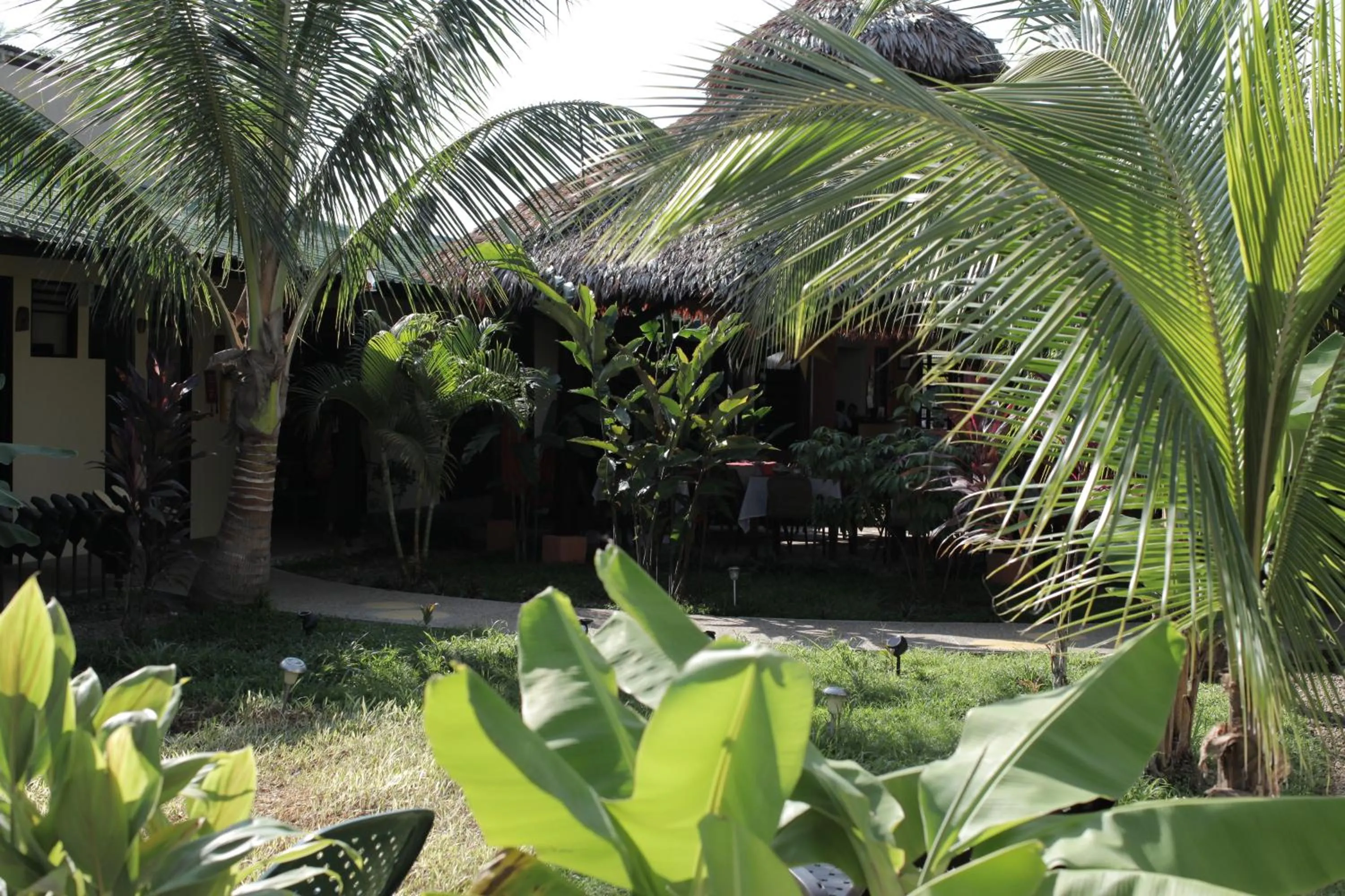 Facade/entrance in Hotel Amazon Bed And Breakfast