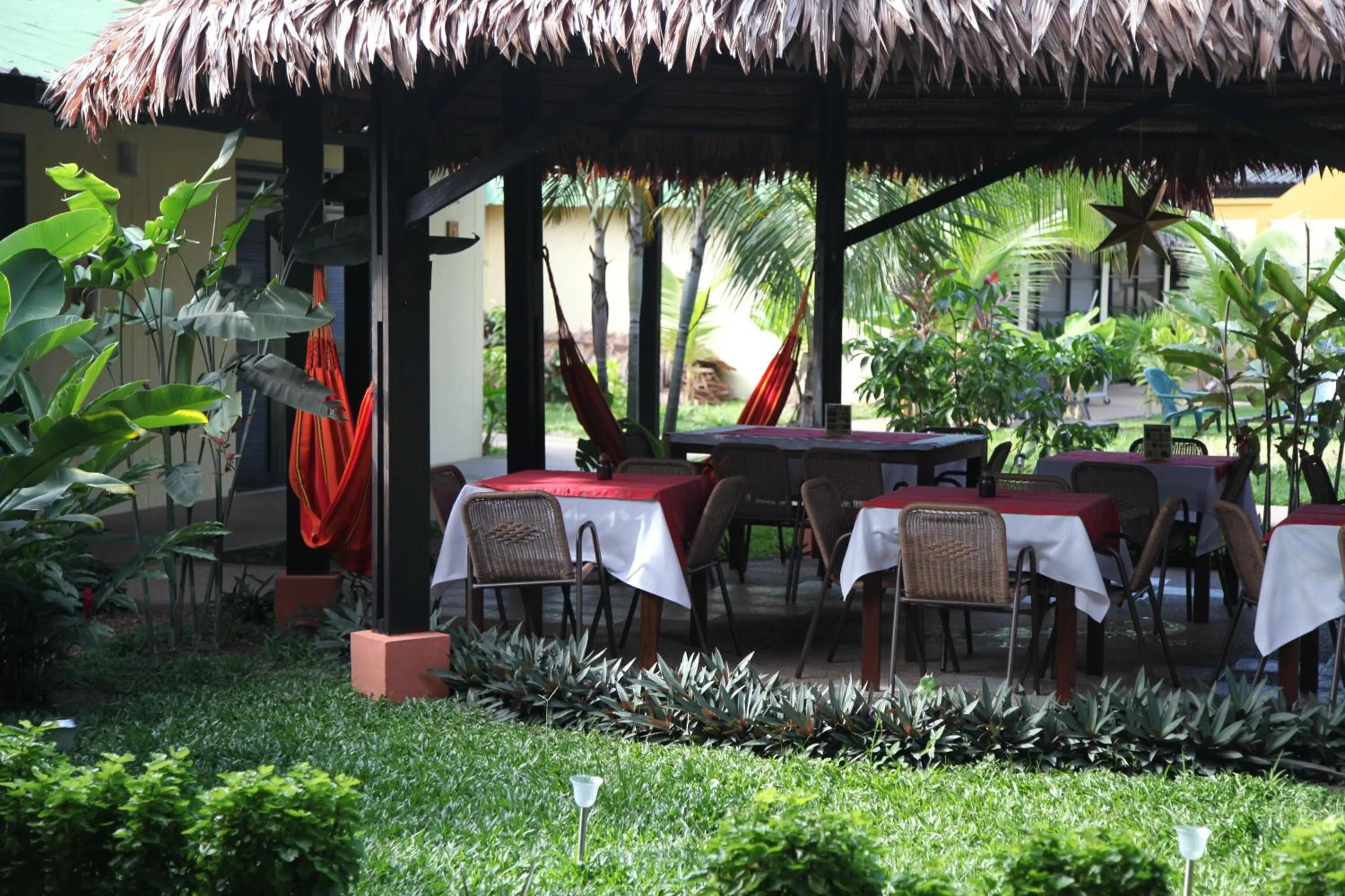 Balcony/Terrace in Hotel Amazon Bed And Breakfast