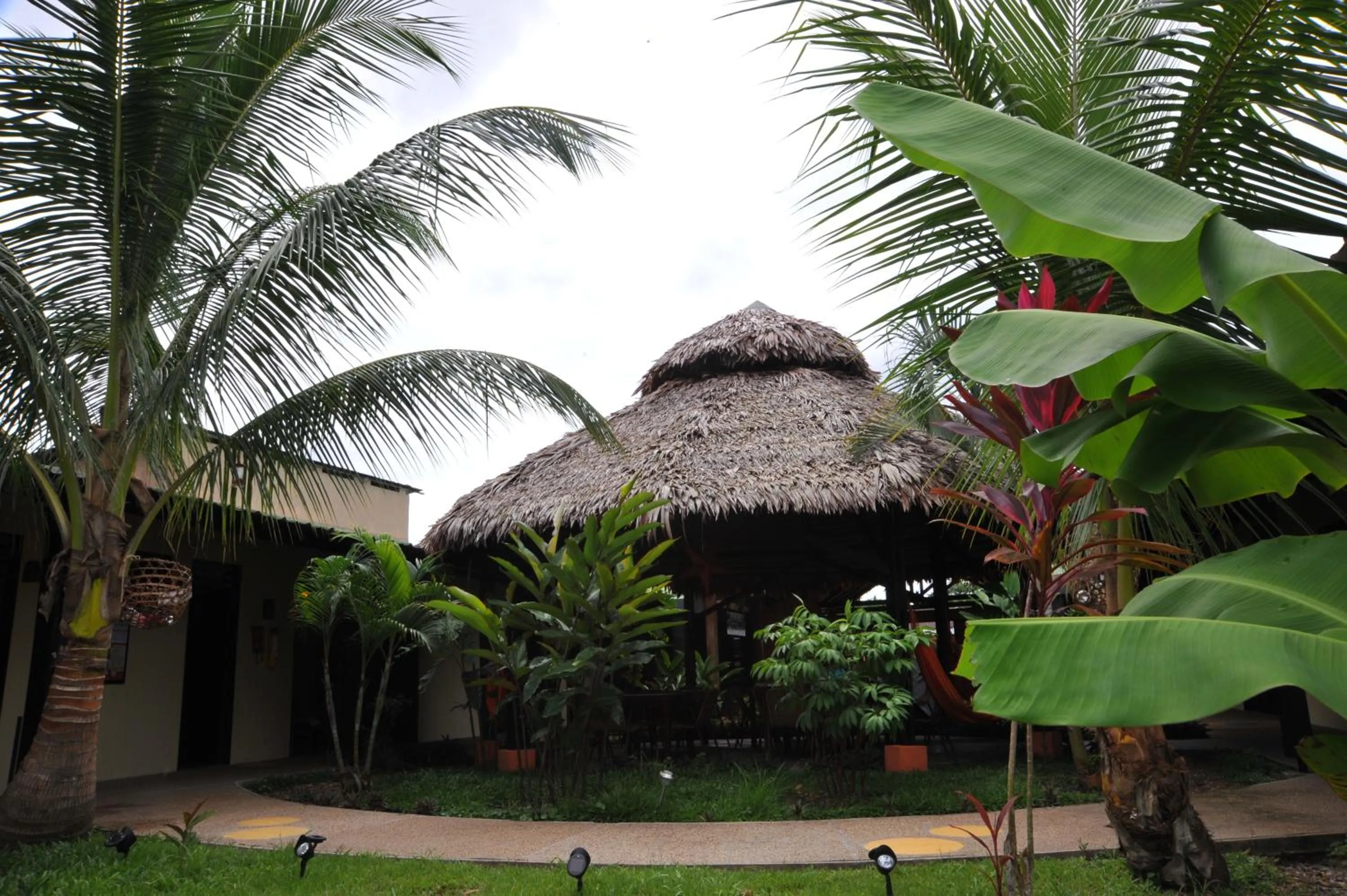 Balcony/Terrace in Hotel Amazon Bed And Breakfast