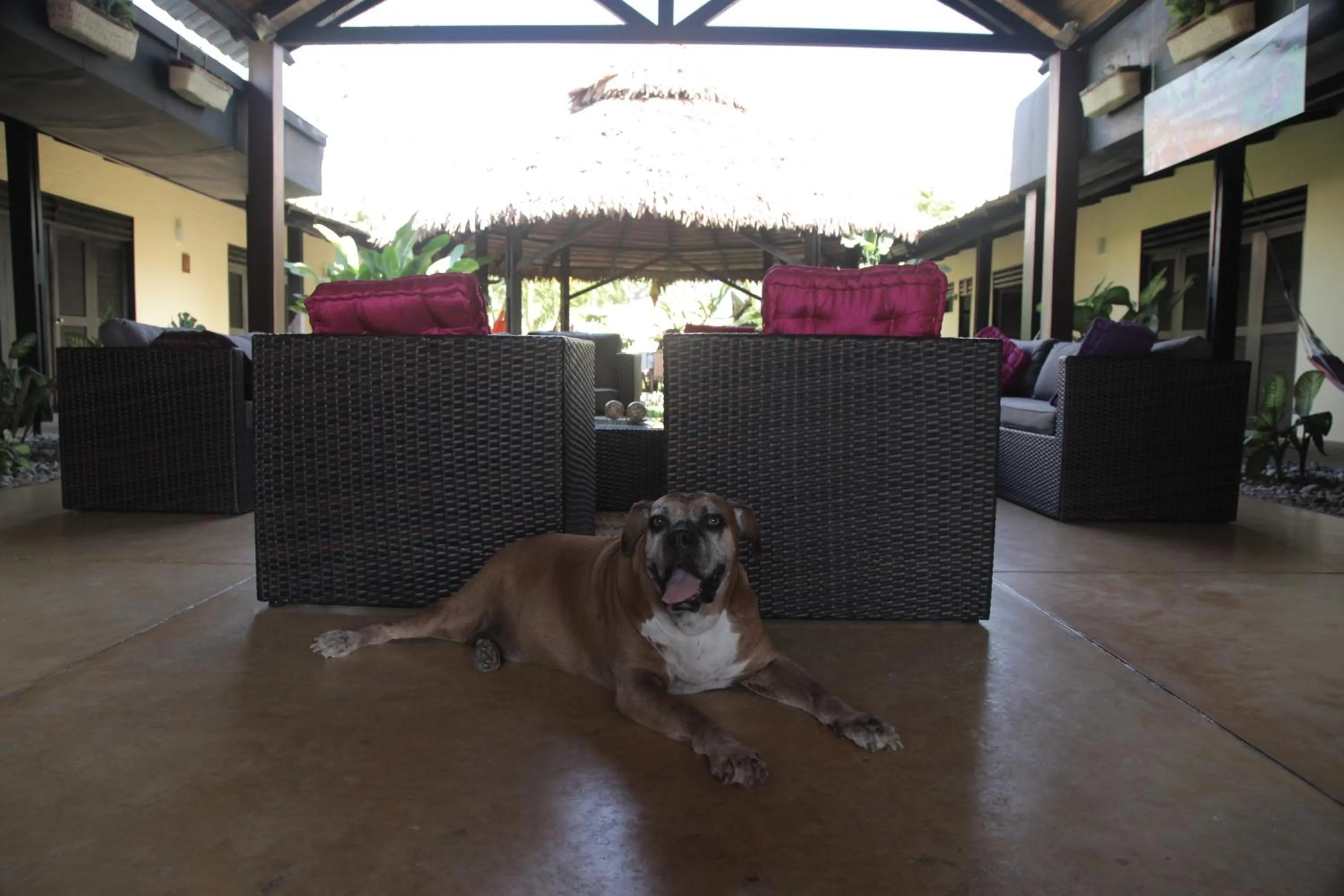 Lobby or reception in Hotel Amazon Bed And Breakfast