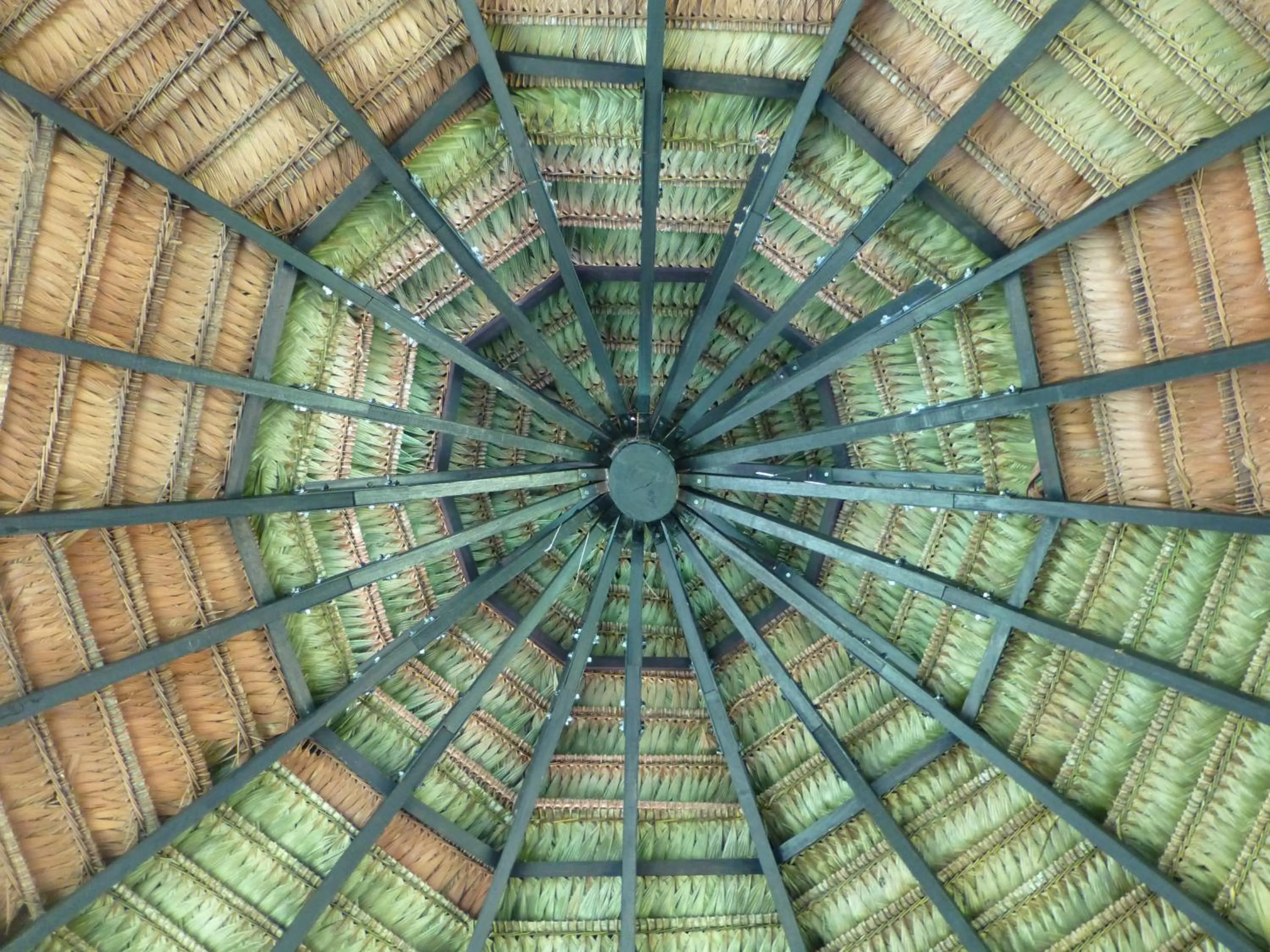 Decorative detail in Hotel Amazon Bed And Breakfast