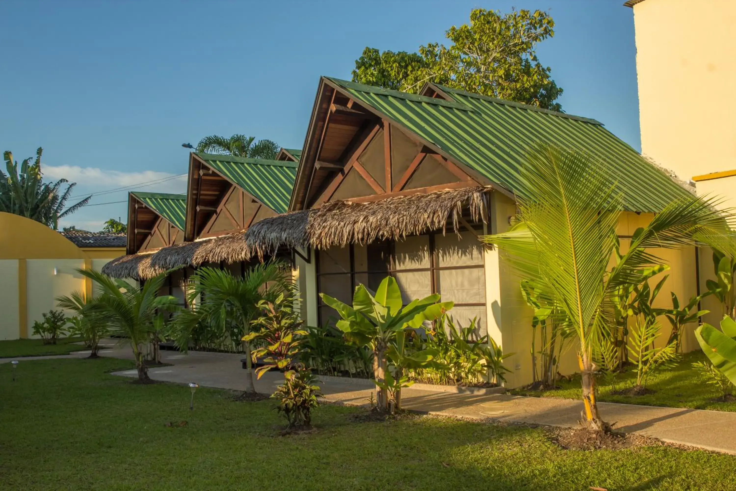 Hotel Amazon Bed And Breakfast Hotel Amazon Bed And Breakfast