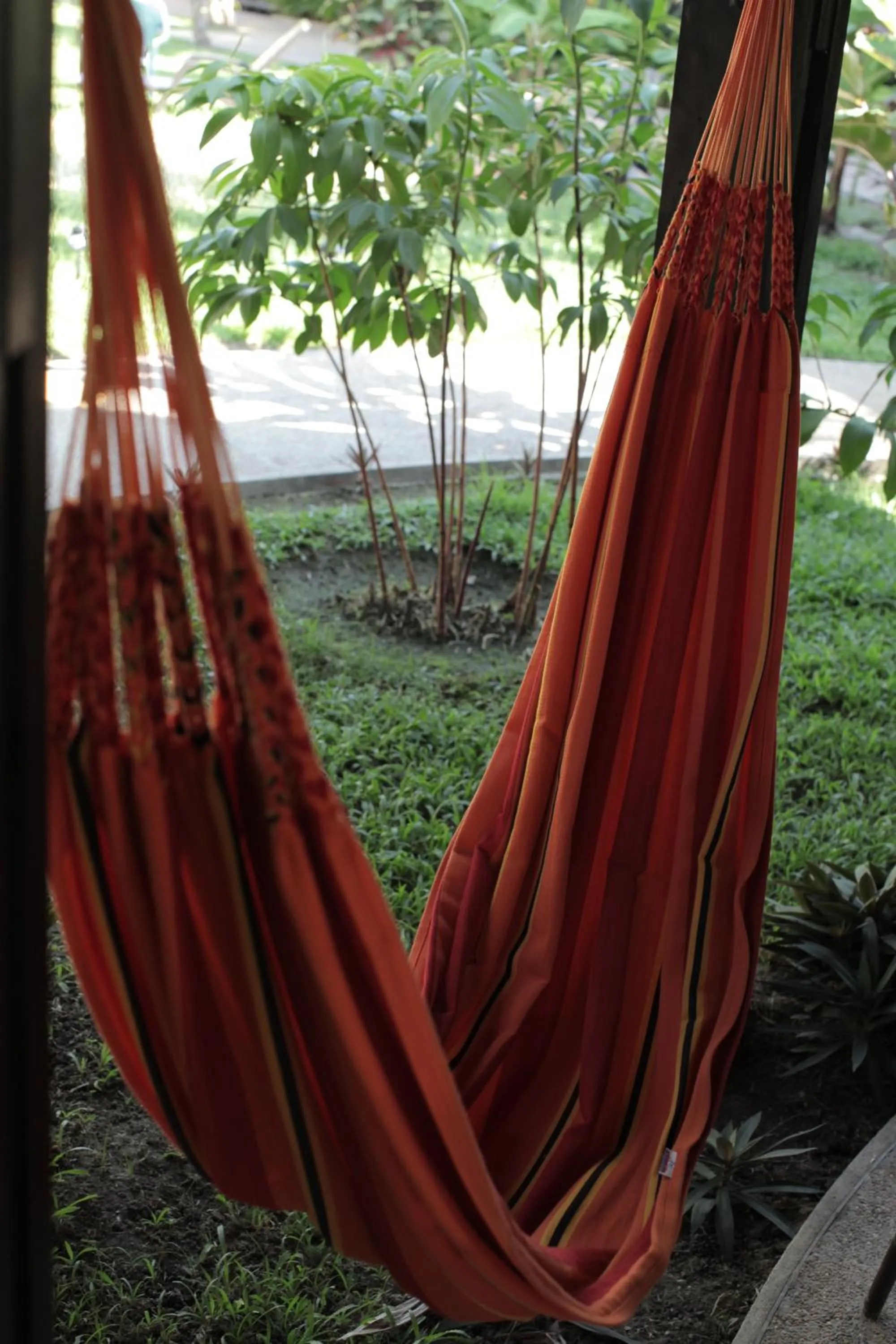 Balcony/Terrace in Hotel Amazon Bed And Breakfast