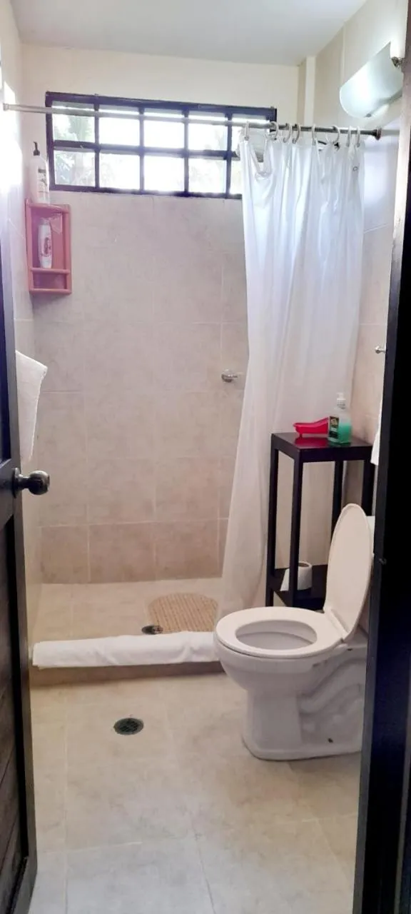 Shower in Hotel Amazon Bed And Breakfast
