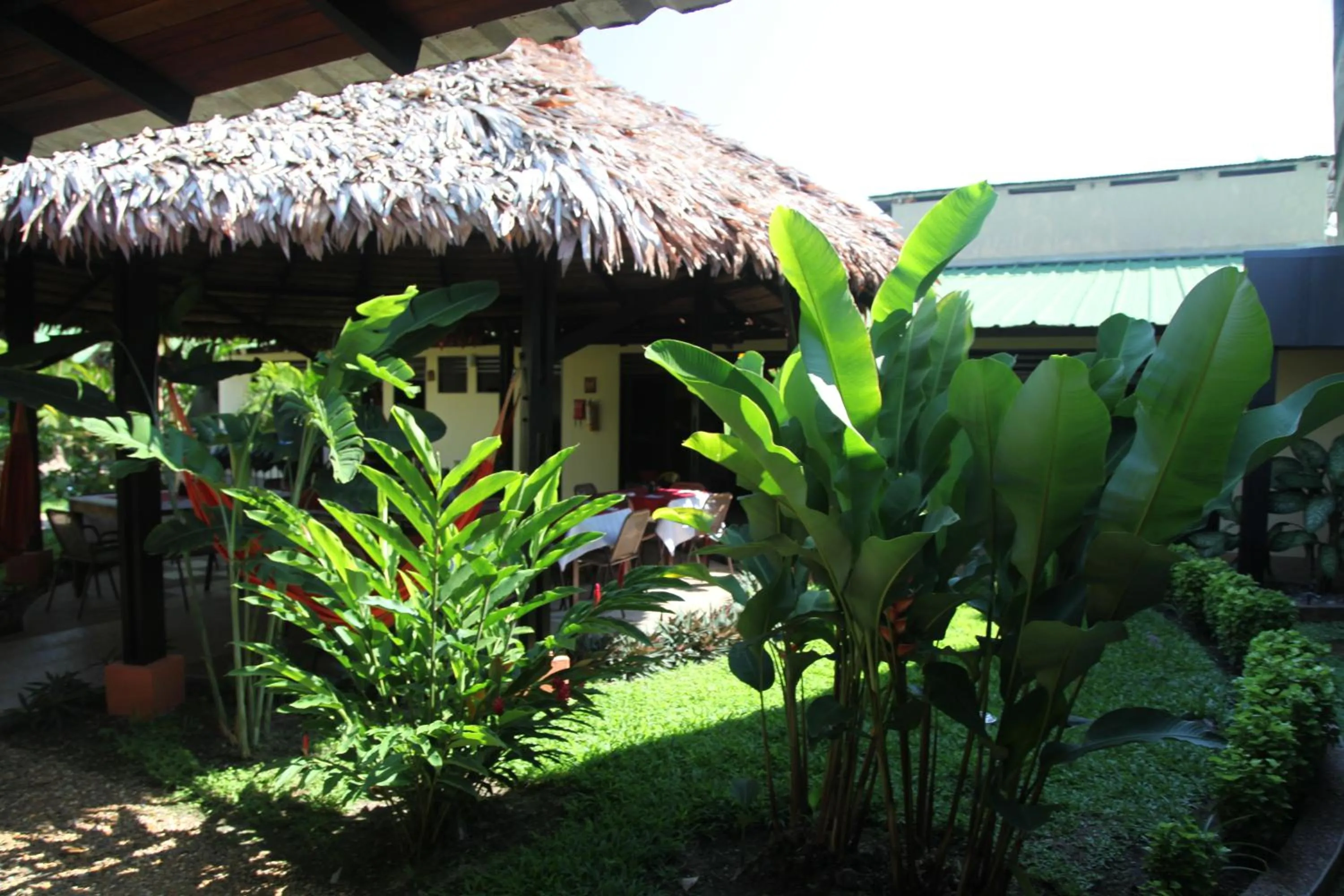 Garden in Hotel Amazon Bed And Breakfast