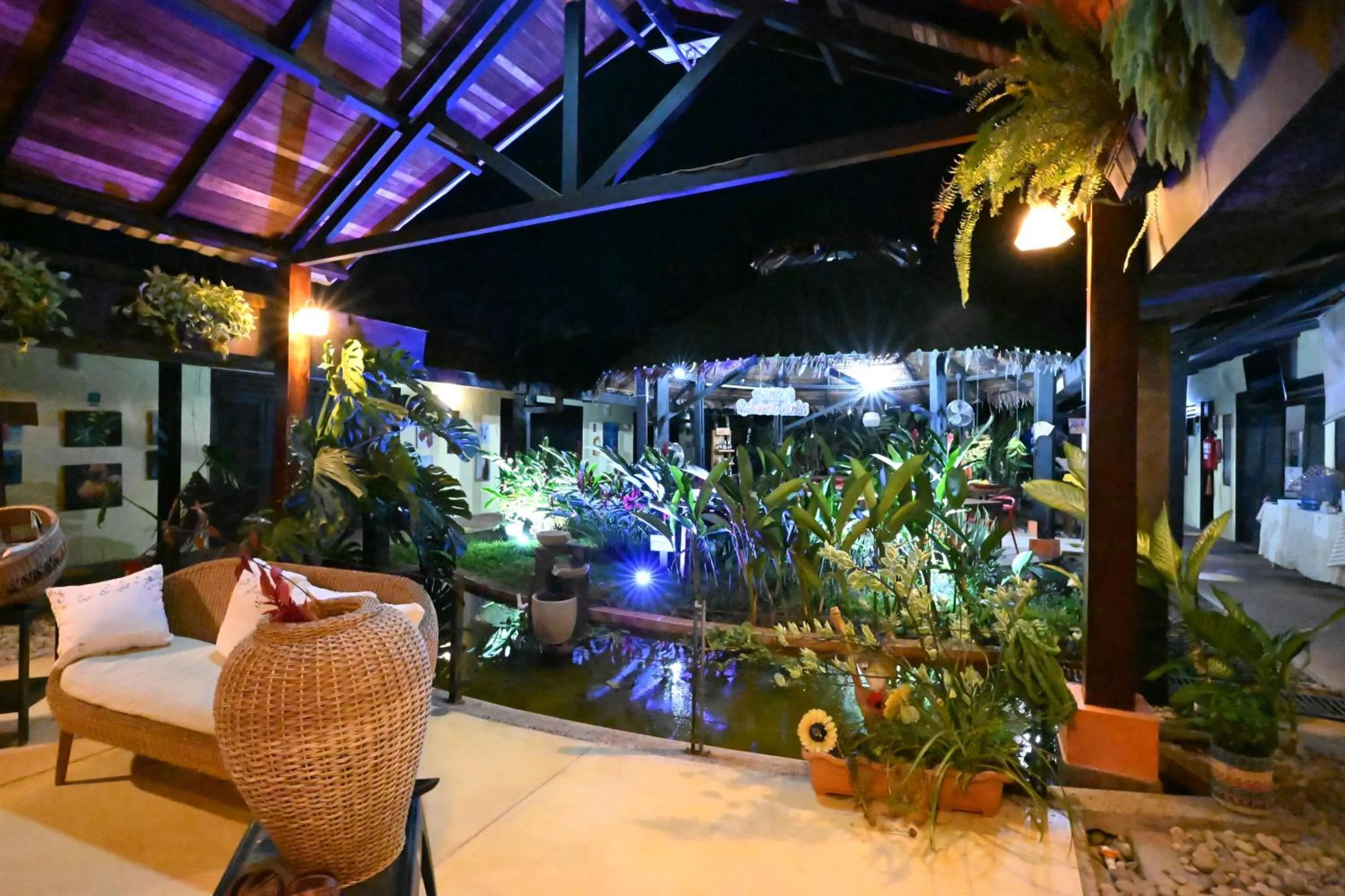 Patio in Hotel Amazon Bed And Breakfast