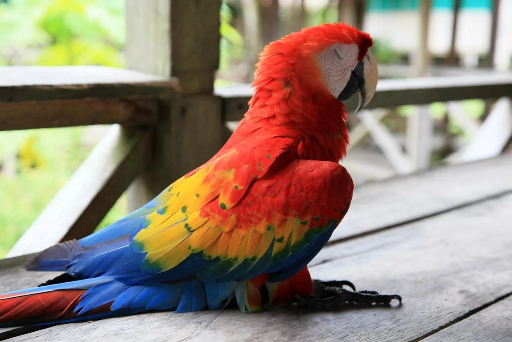 Activities in Hotel Amazon Bed And Breakfast