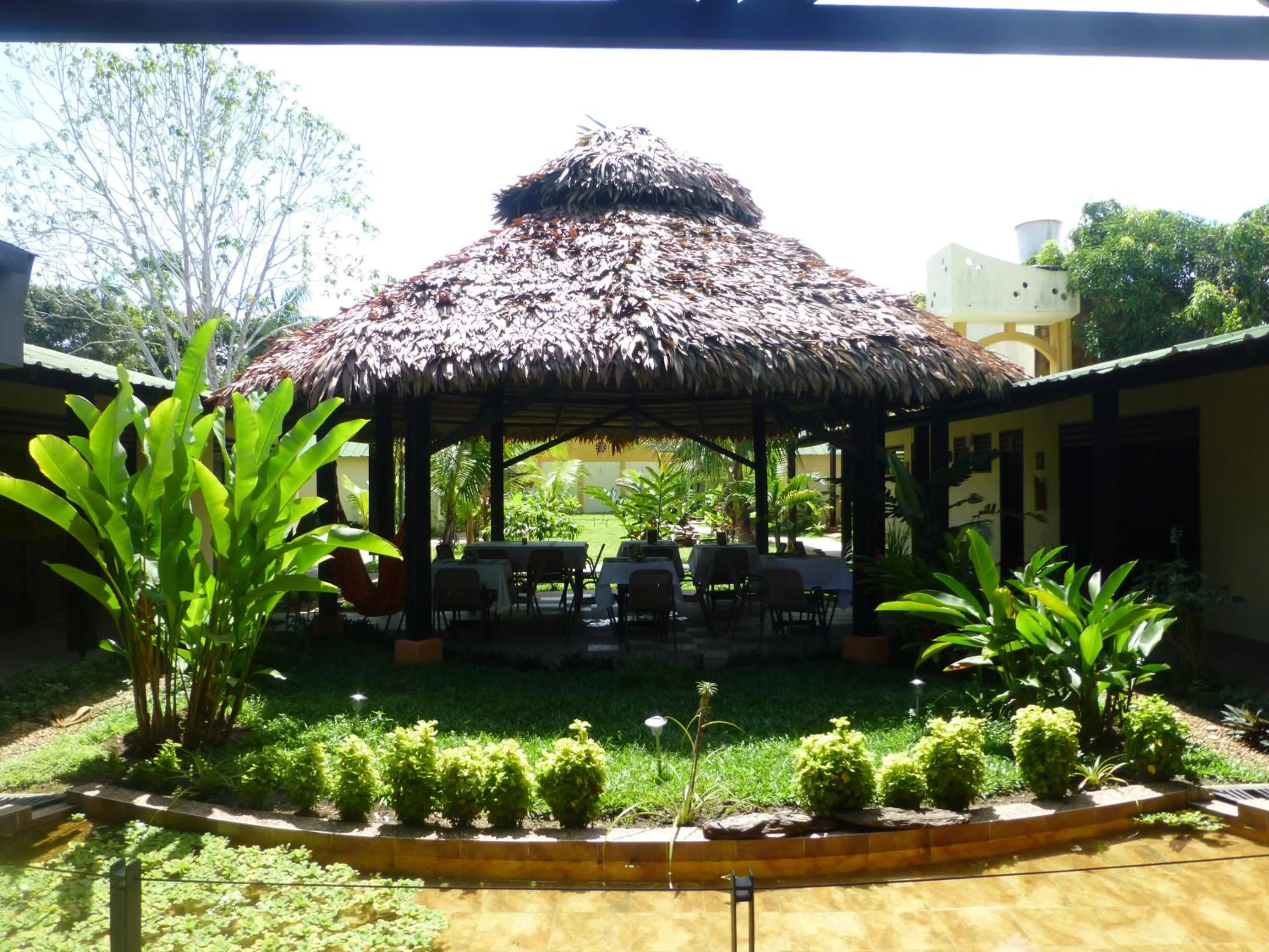 Balcony/Terrace in Hotel Amazon Bed And Breakfast