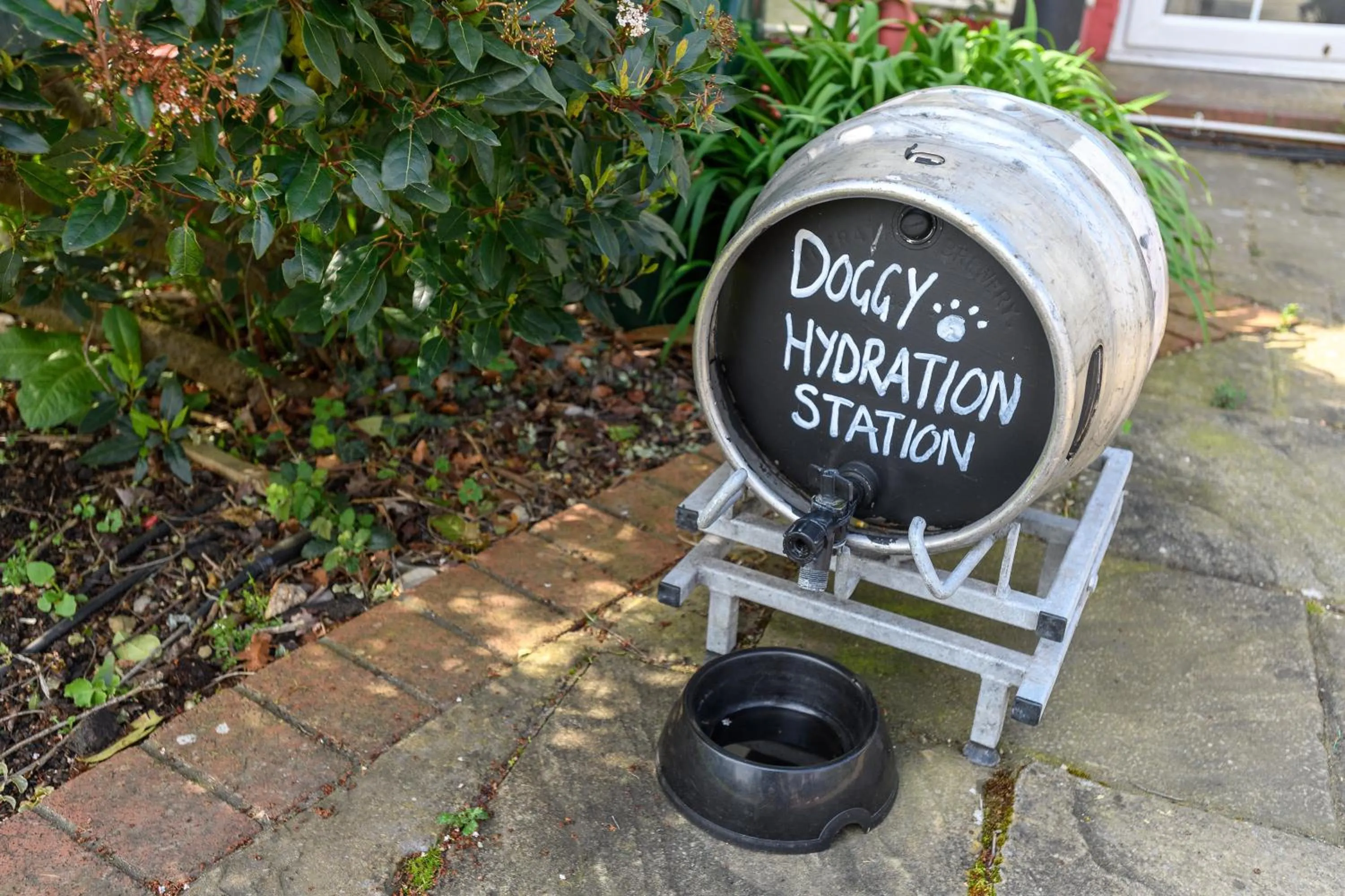 Garden view in The Mortimer Arms