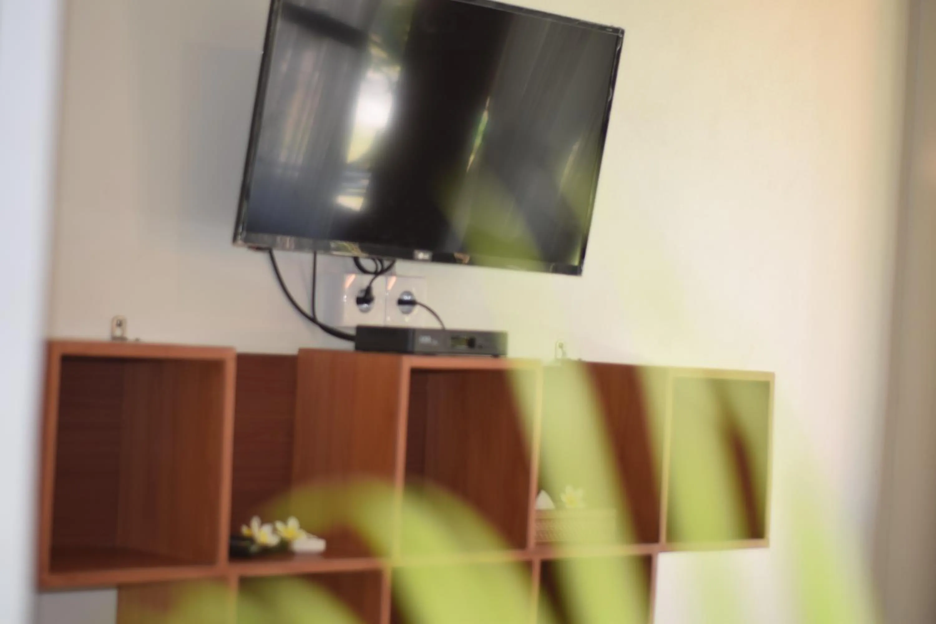 TV and multimedia in The Kanha Palace