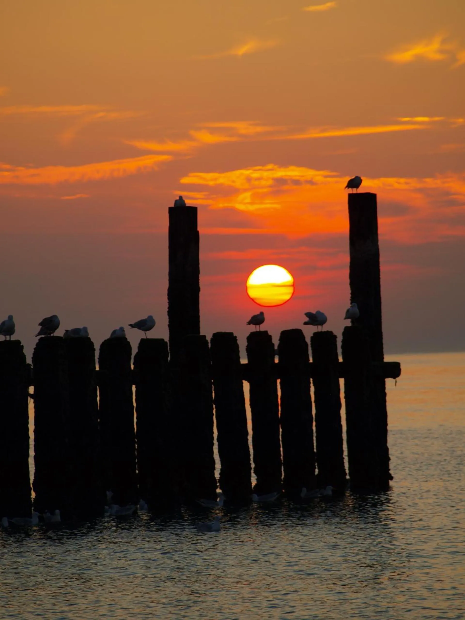 Beach in B&B Rehoboth