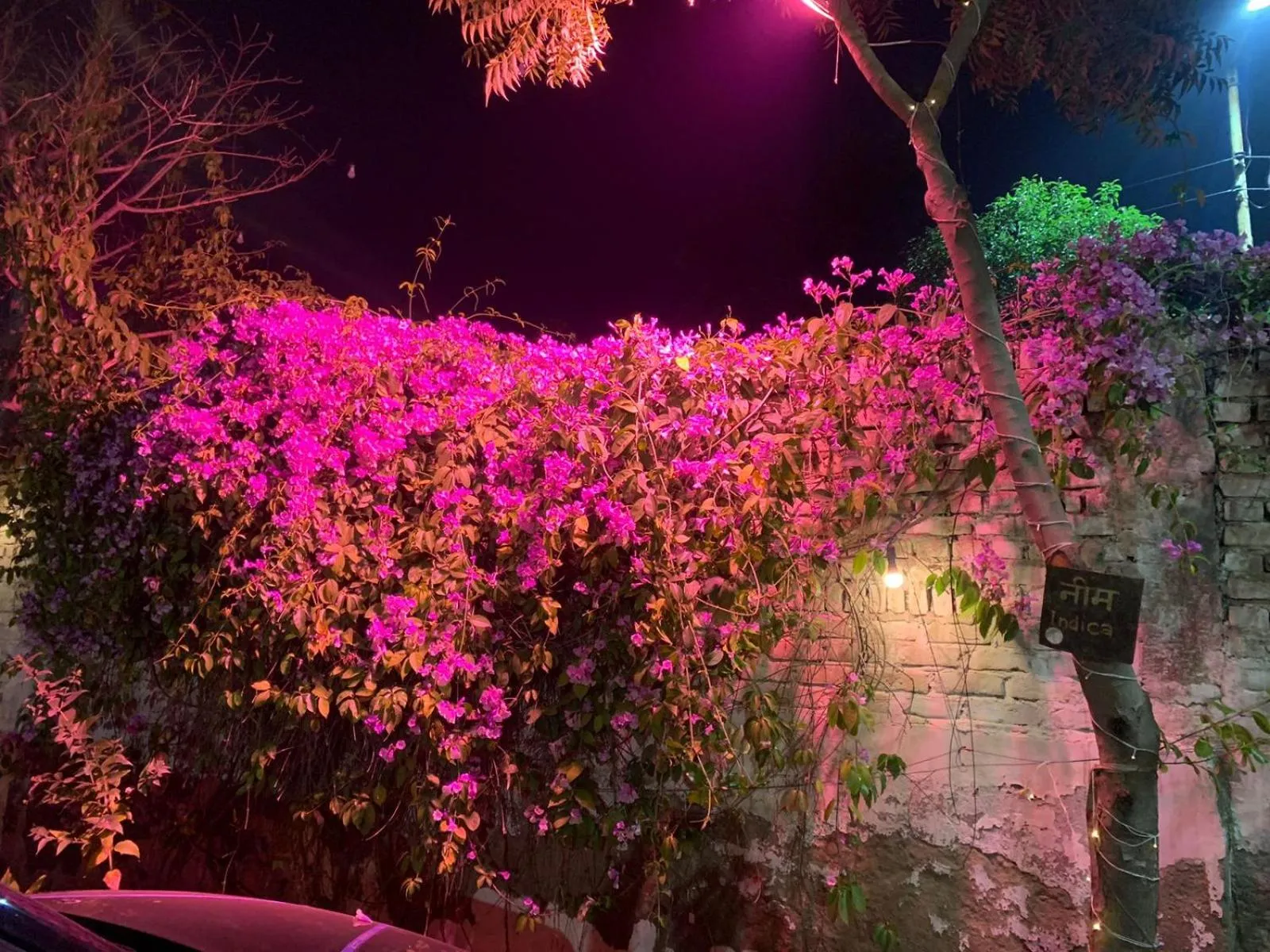 Garden in Nature Resort