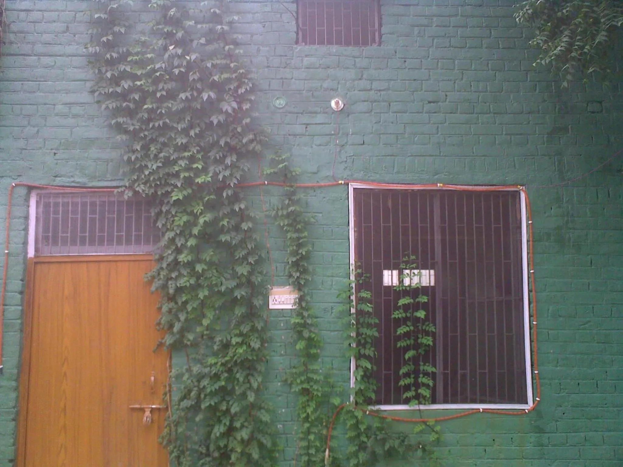 Property building in Nature Resort