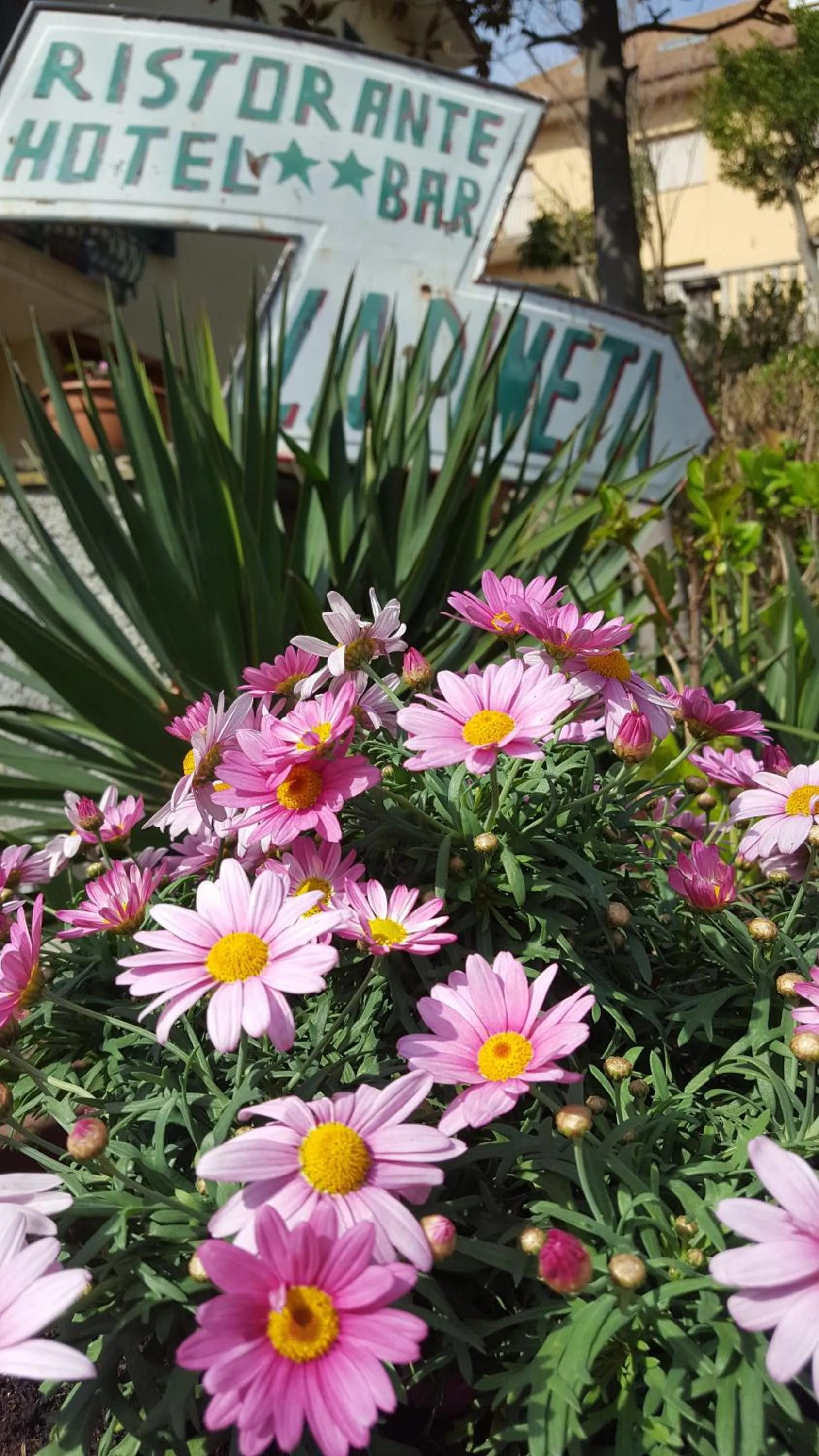 Property logo or sign in Hotel La Pineta