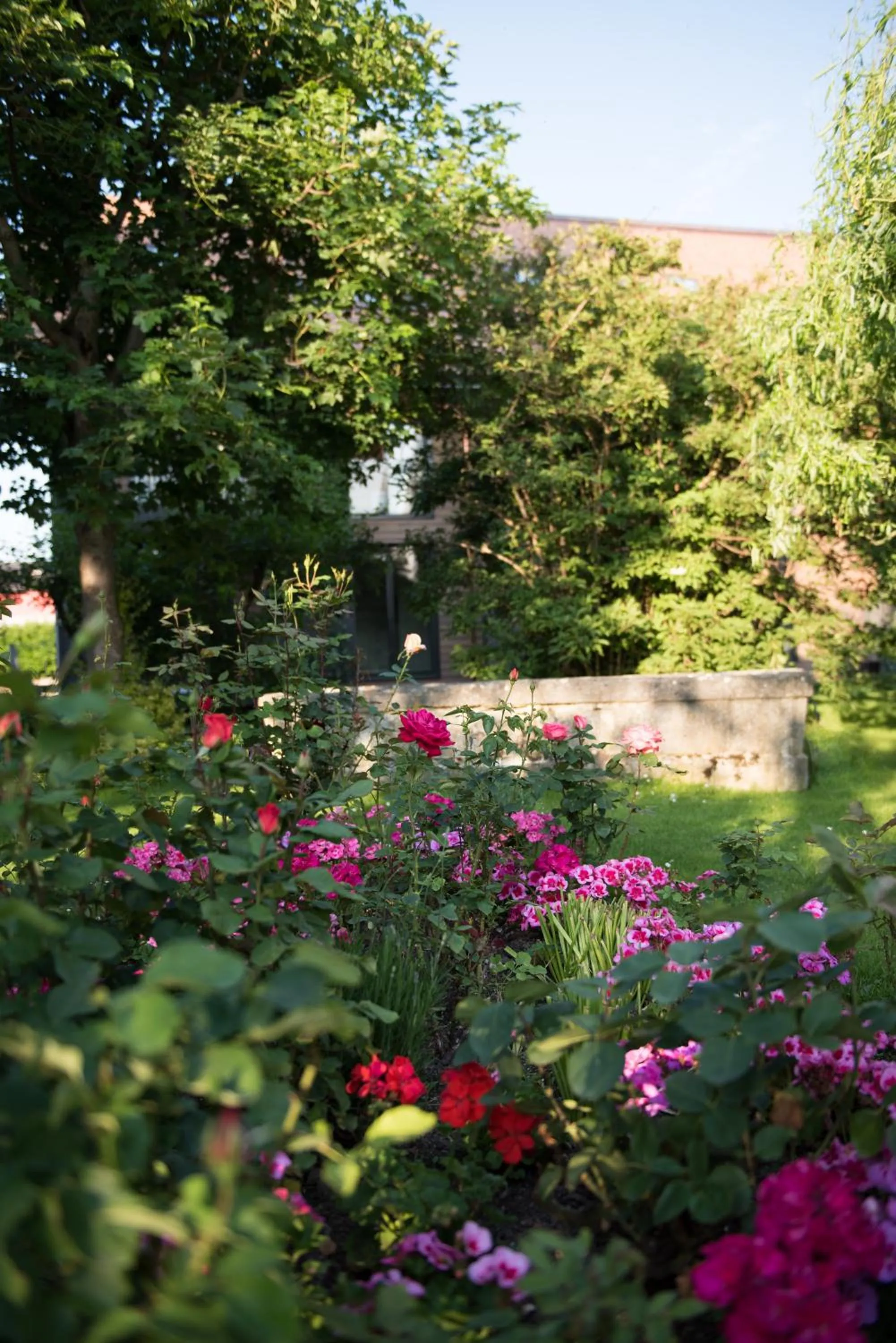 Natural landscape in Hôtel la Croix Blanche