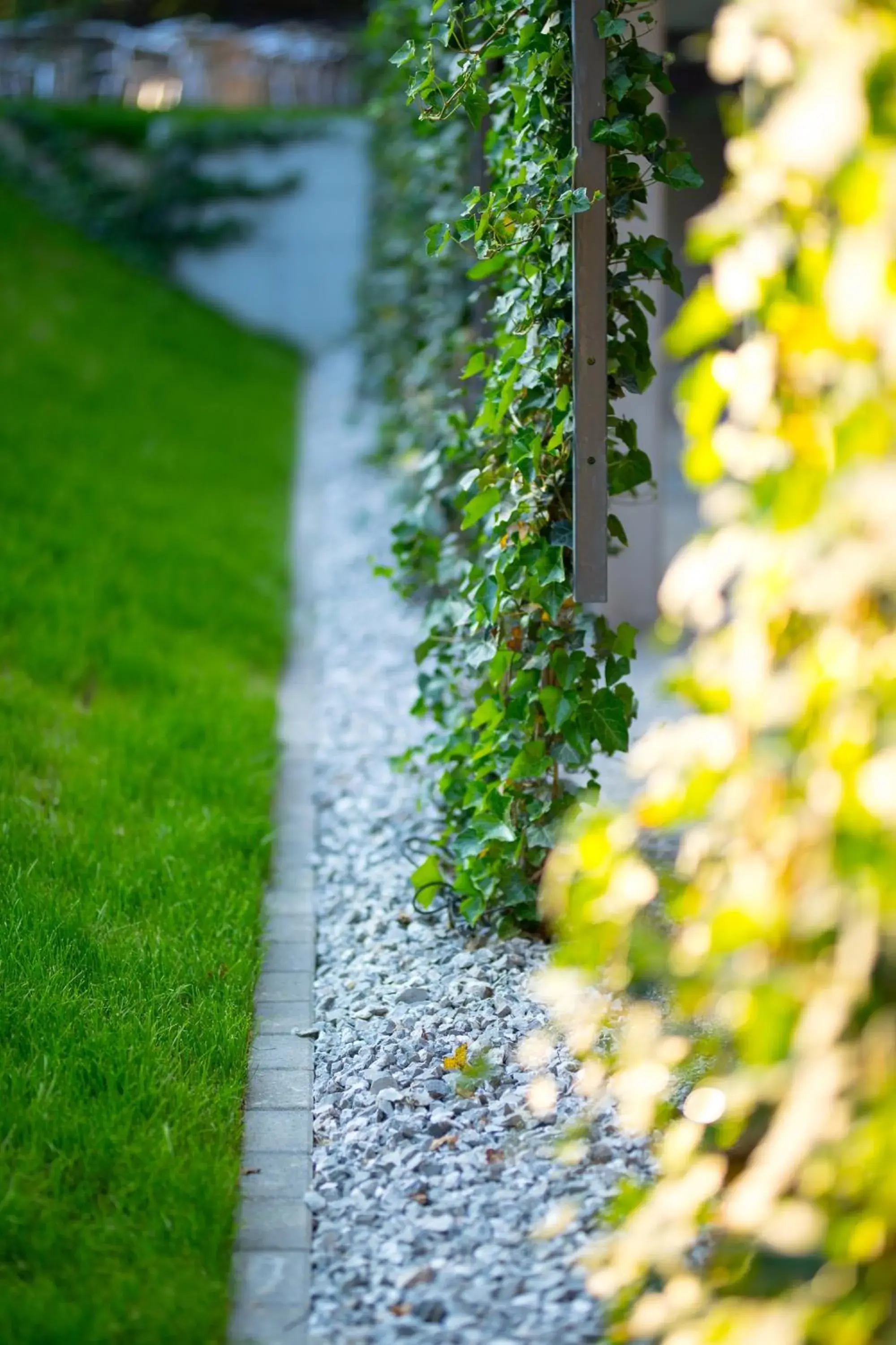 Deluxe Suite in Hôtel la Croix Blanche Deluxe Suite in Hôtel la Croix Blanche